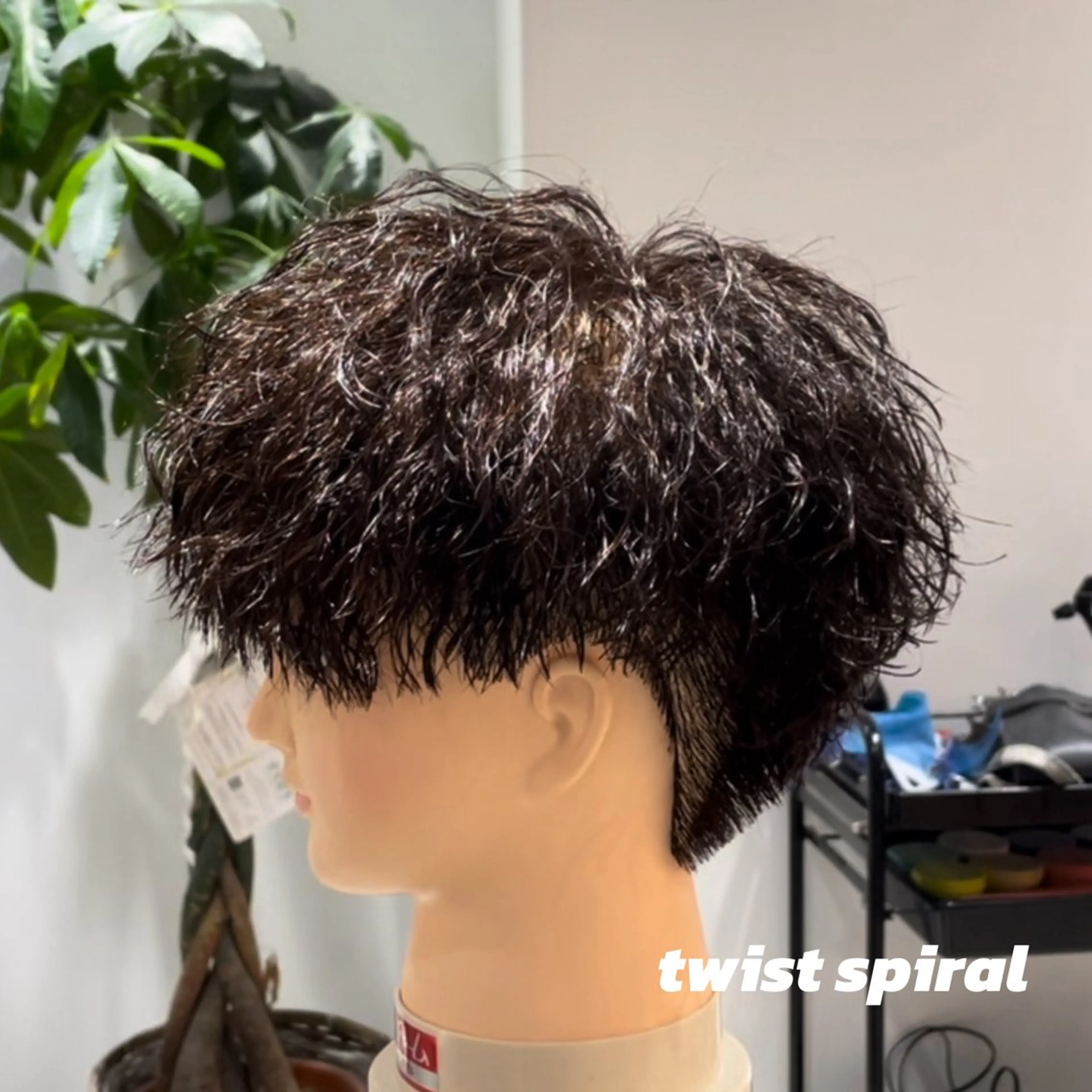 ショート パーマ Dover中野✂︎ メンズ美容師島村祐輝のヘアスタイル