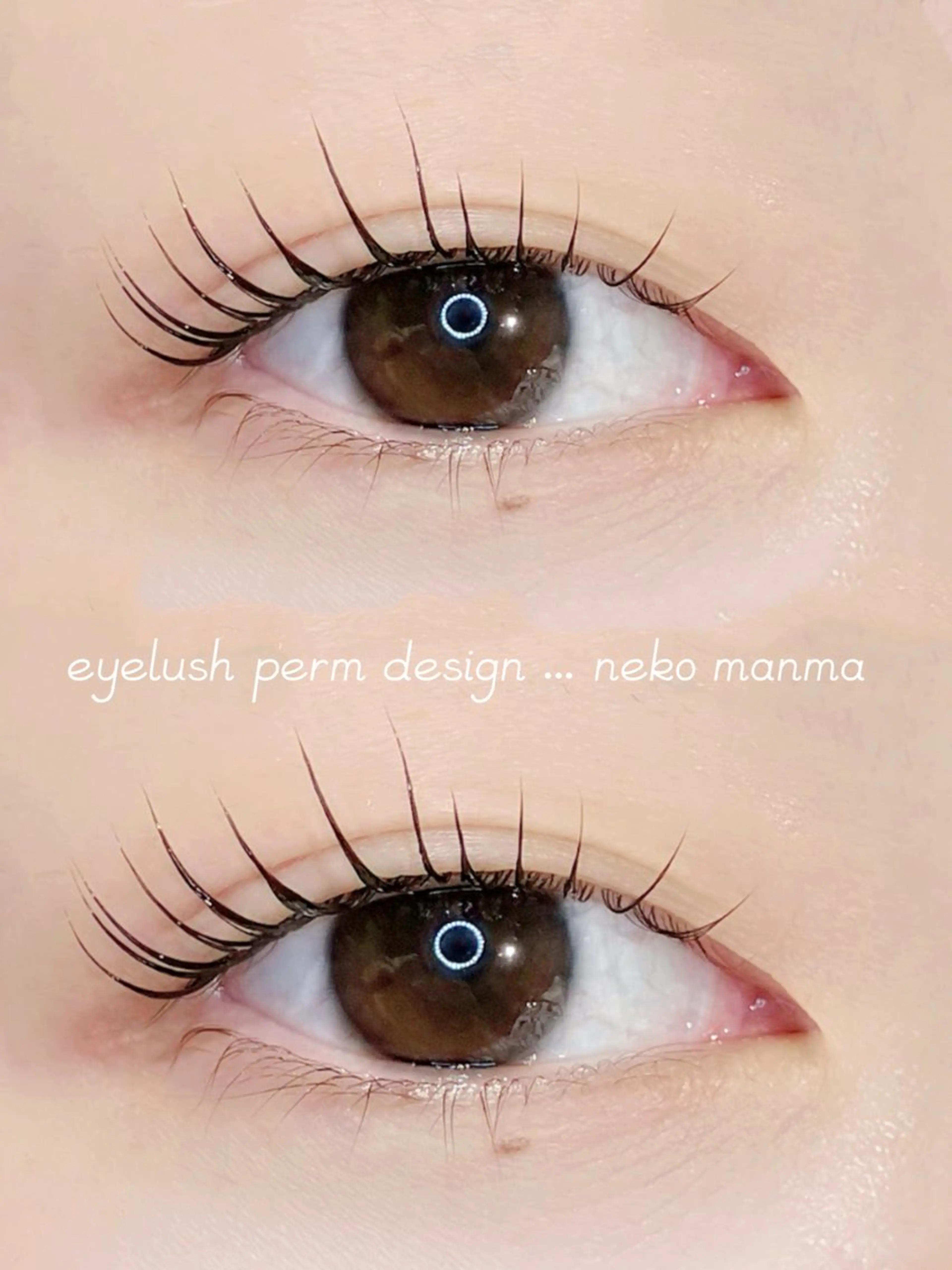 【初回限定】まつ毛パーマ(上)👀✨の写真