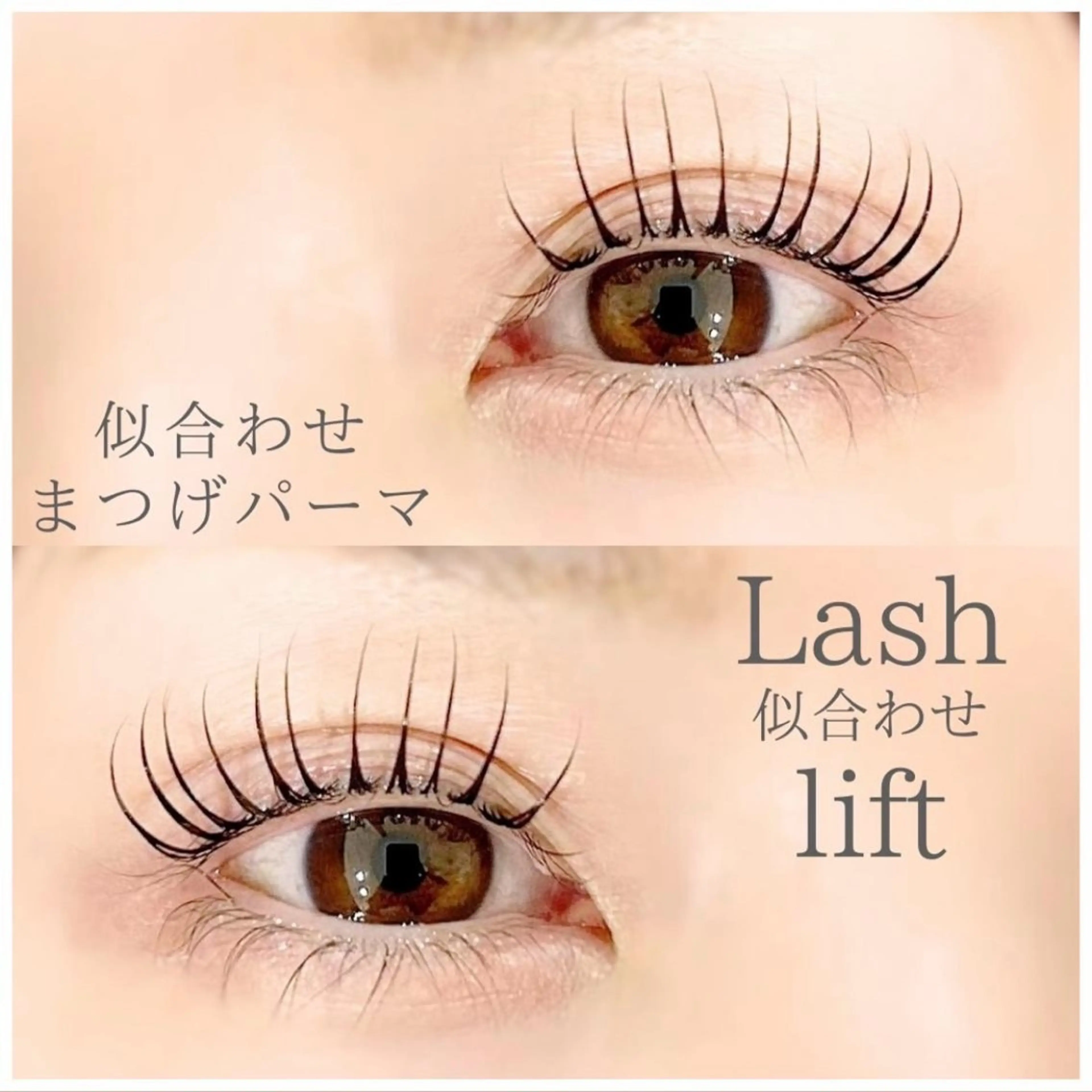 [本日のみ]マツエクついてない方限定  パリジェンヌラッシュリフトor似合わせまつ毛パーマの写真