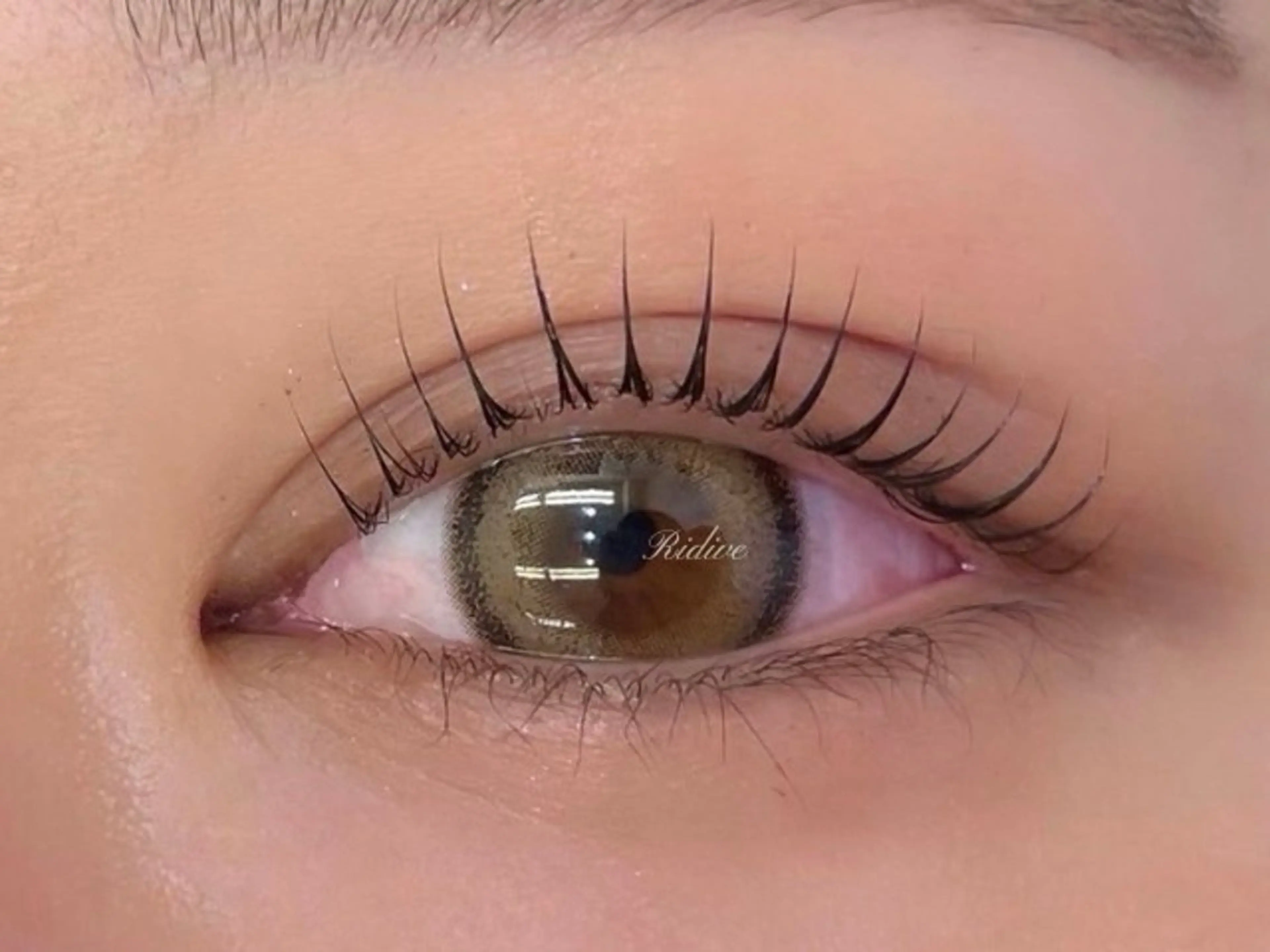 パーマ アイブロウサロンRidive武蔵小杉所属・Ridive Endo🍙の眉毛・アイブロウイメージ