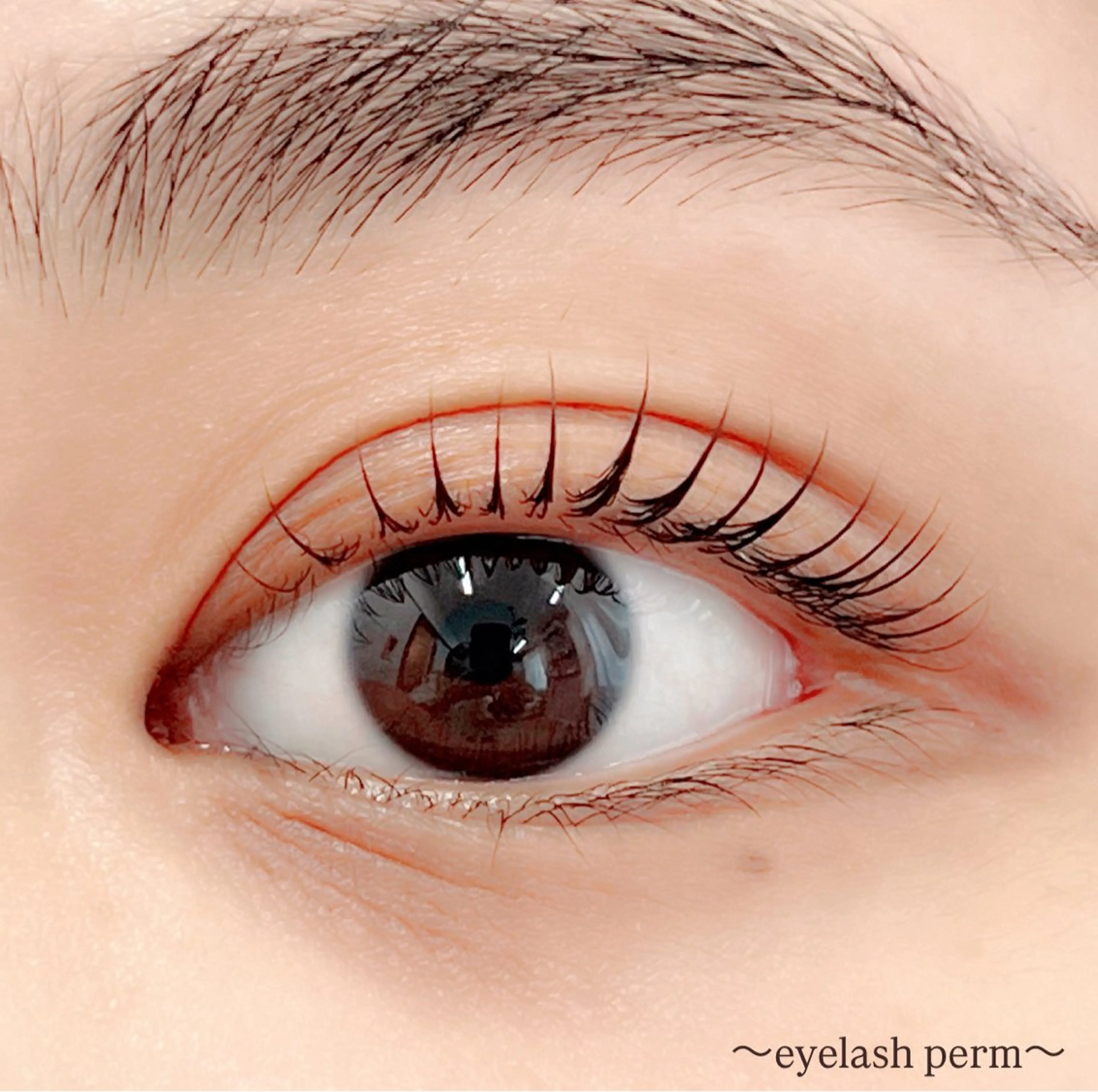 マツエク・マツパ 田村 莉子のマツエク・マツパデザイン