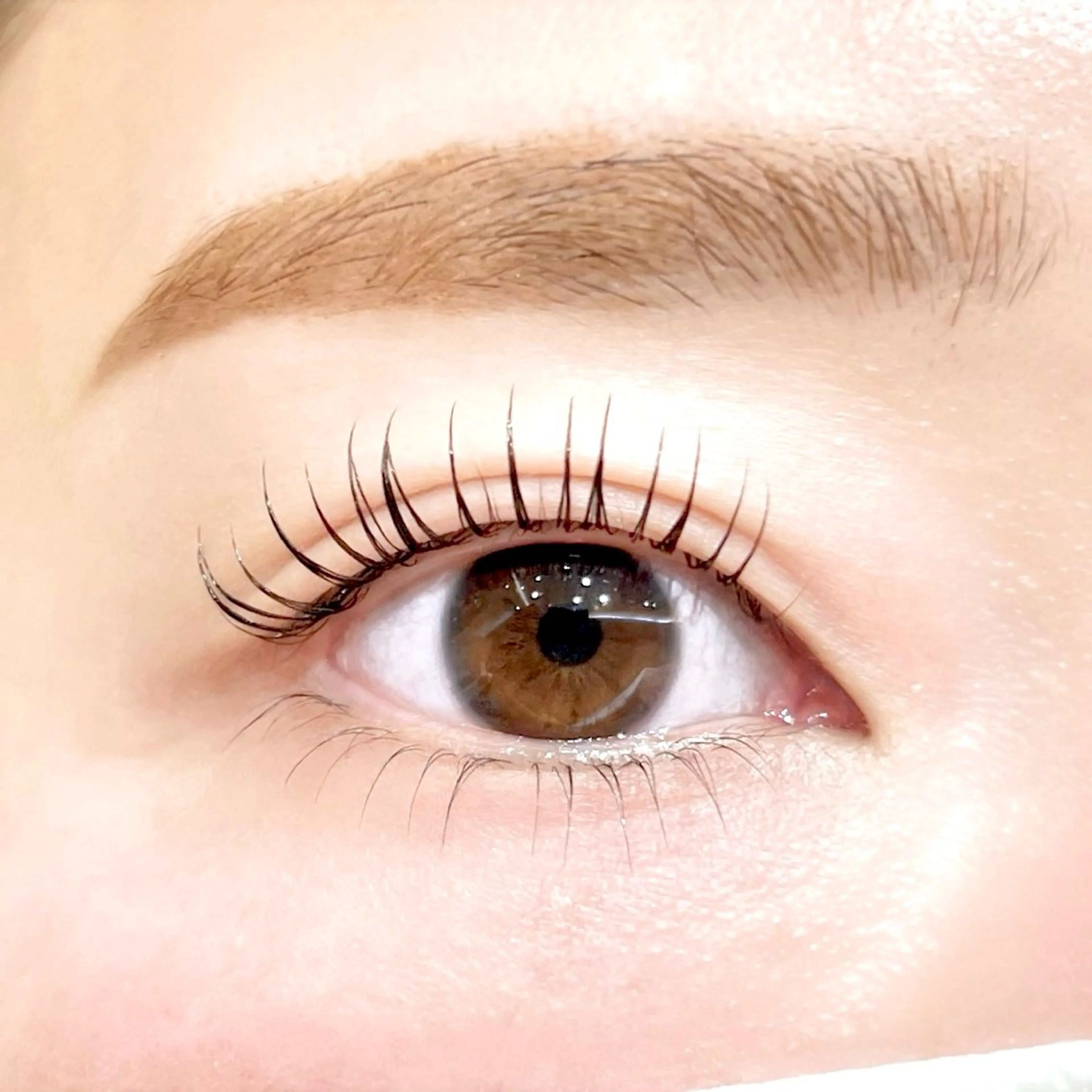 マツエク・マツパ Fukushi/ 自由が丘quint;のマツエク・マツパデザイン