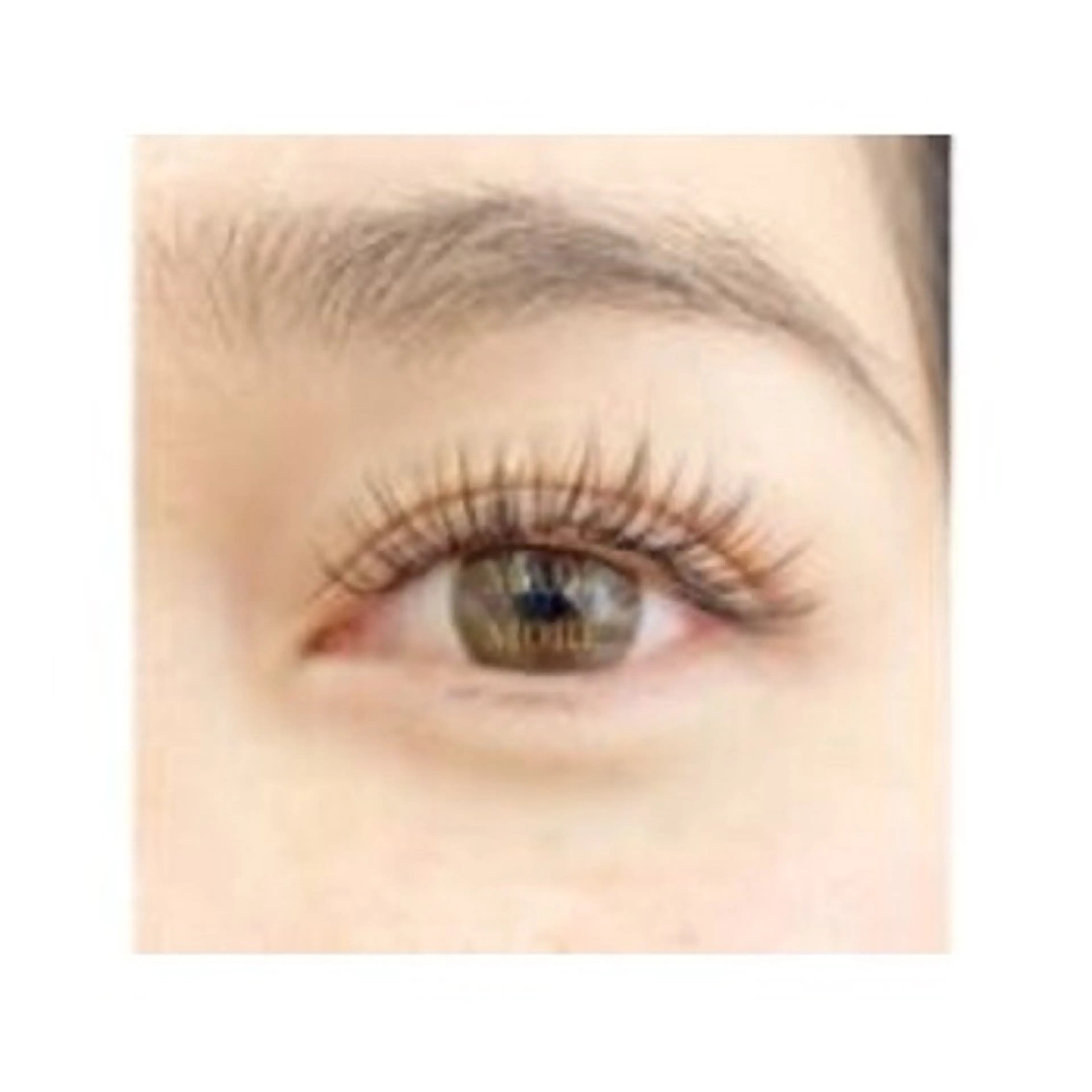 オフ無しフラット80本の写真