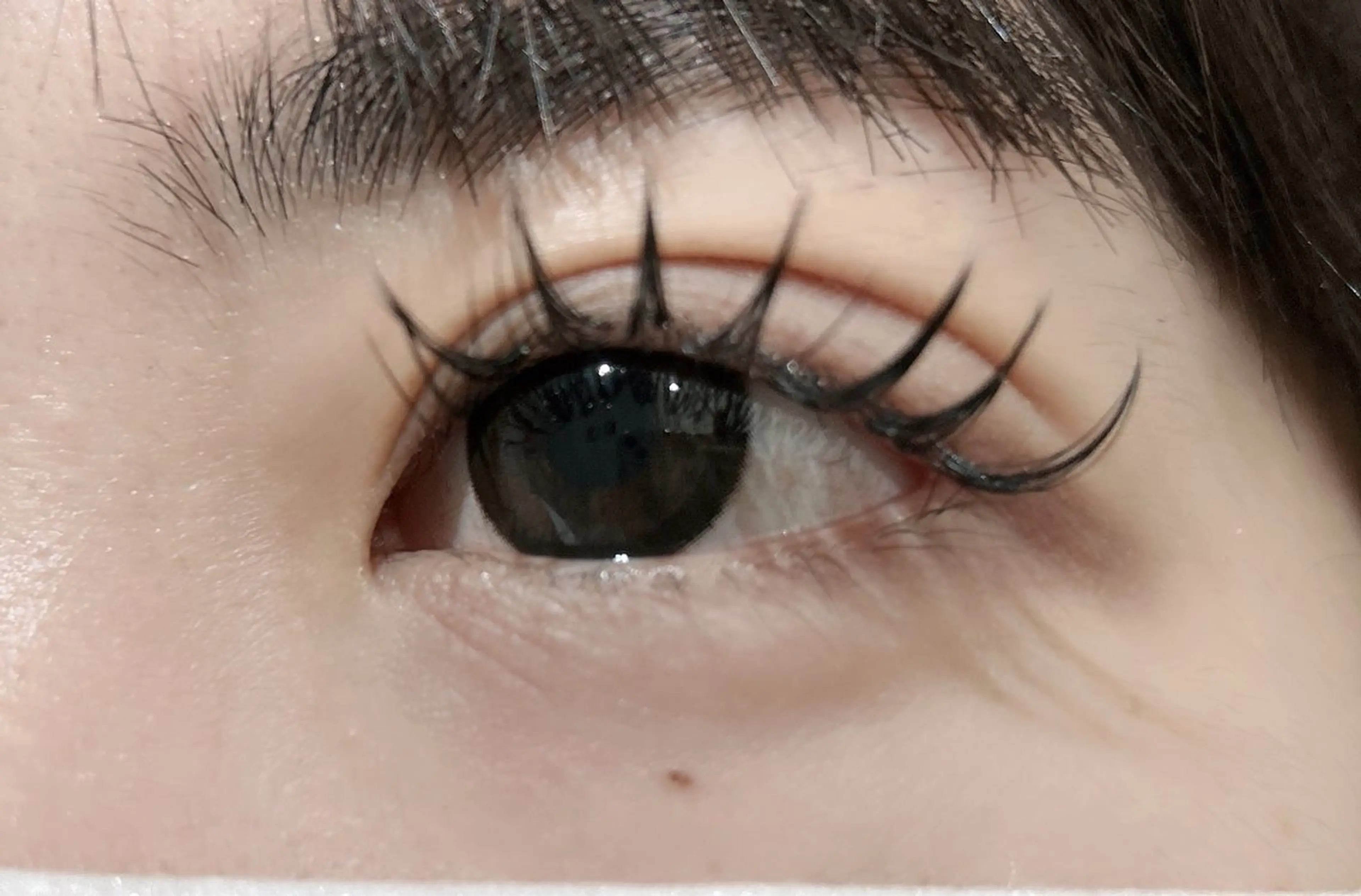 学割✨U24限定💕フラットラッシュ100本⚡️3000円オフなしの写真