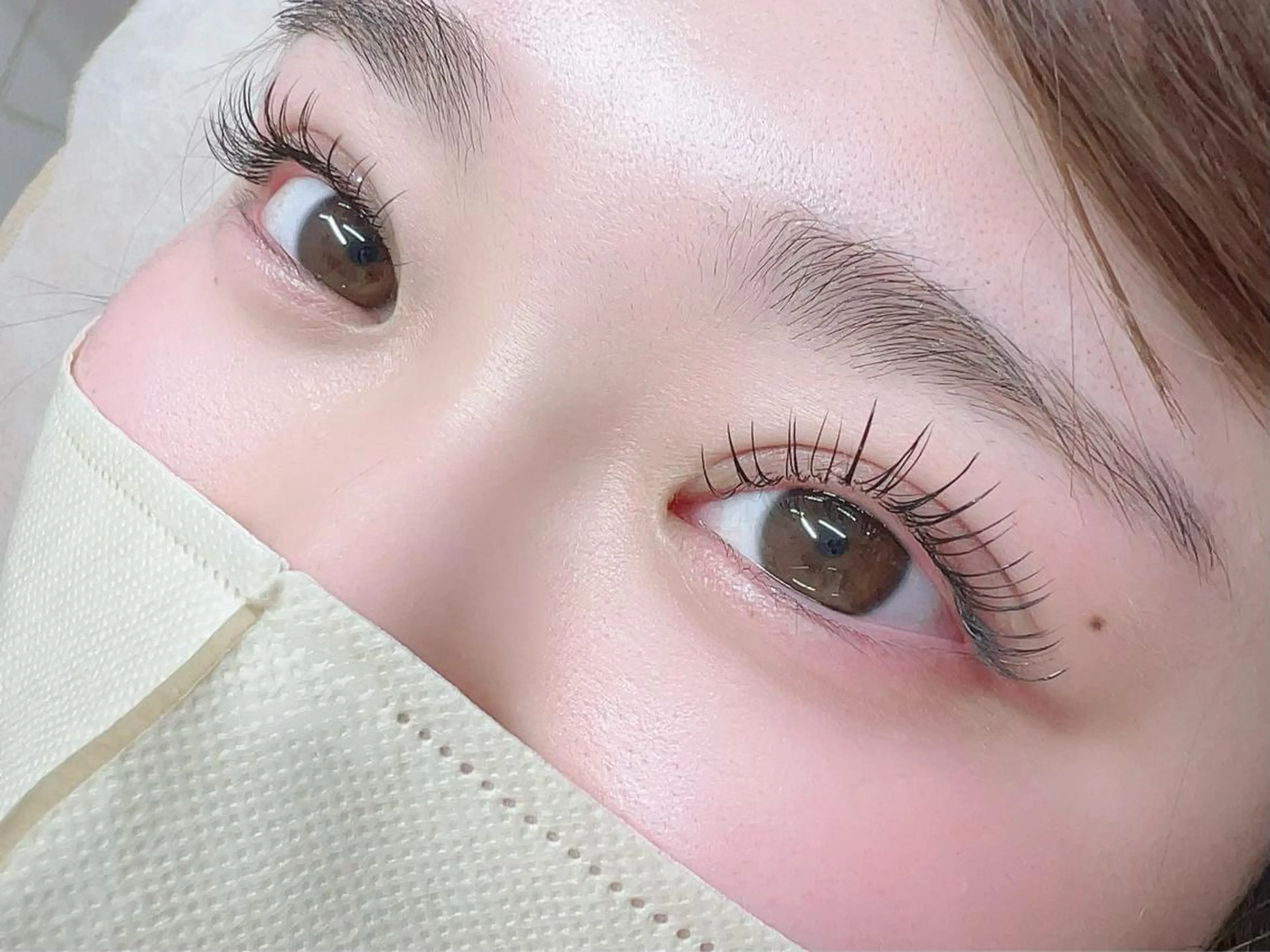 オフ込　フラットマットラッシュ100本の写真