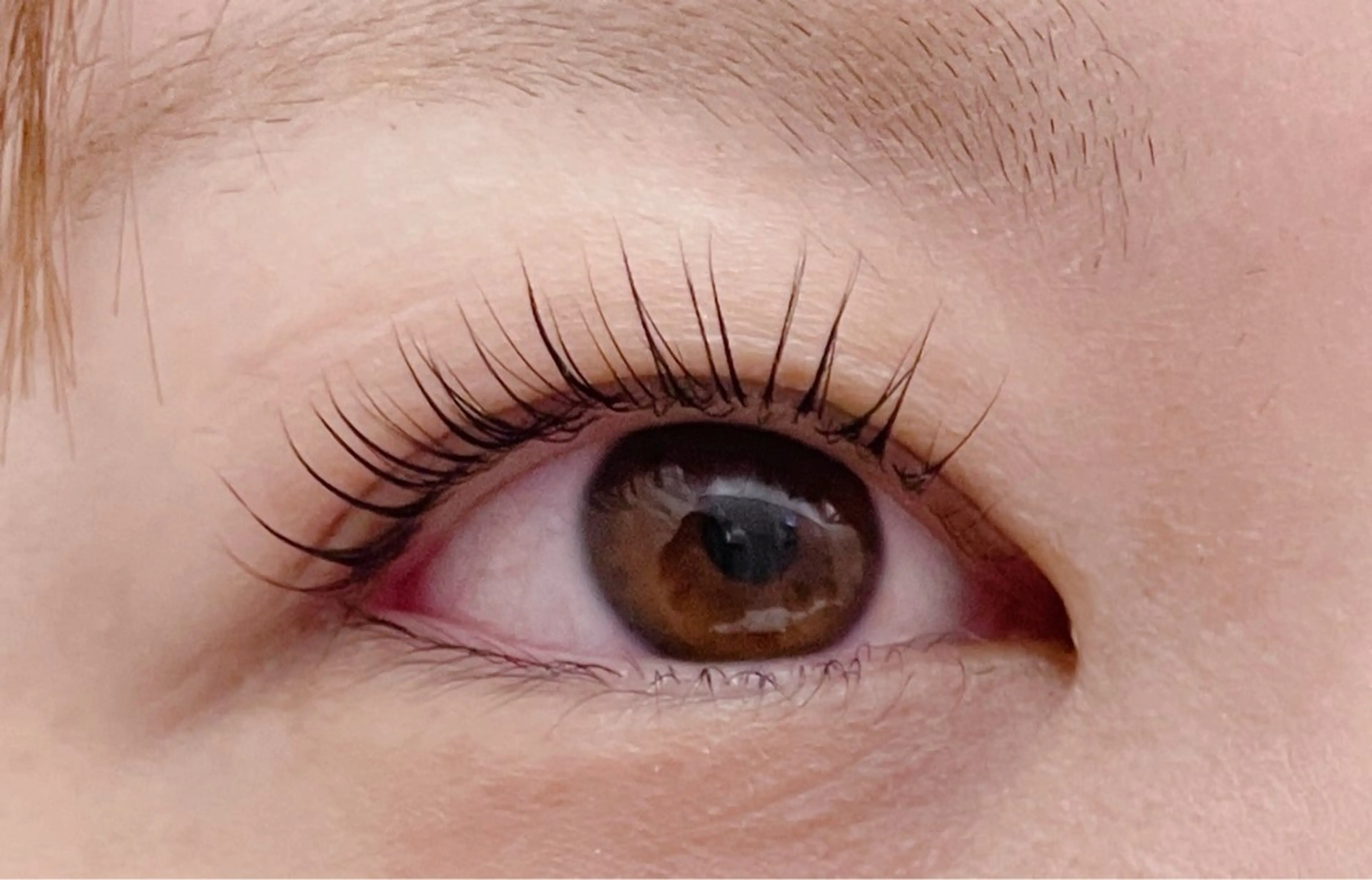 ラッシュリフト　まつげパーマの写真