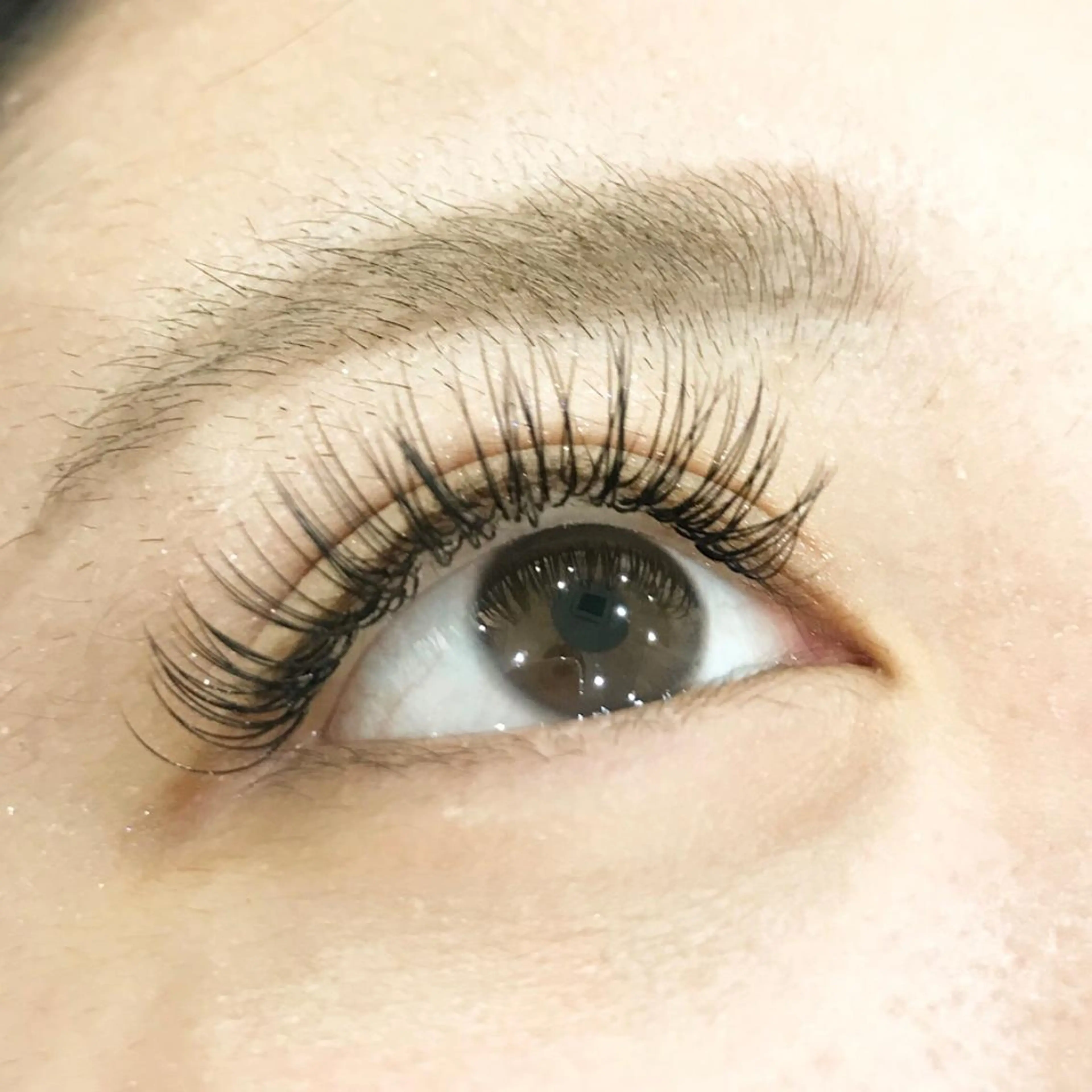 フラットマットラッシュ🌷100本〻コーティング付(オフ込、付け足しOK)ブラウンカラー¥5400の写真