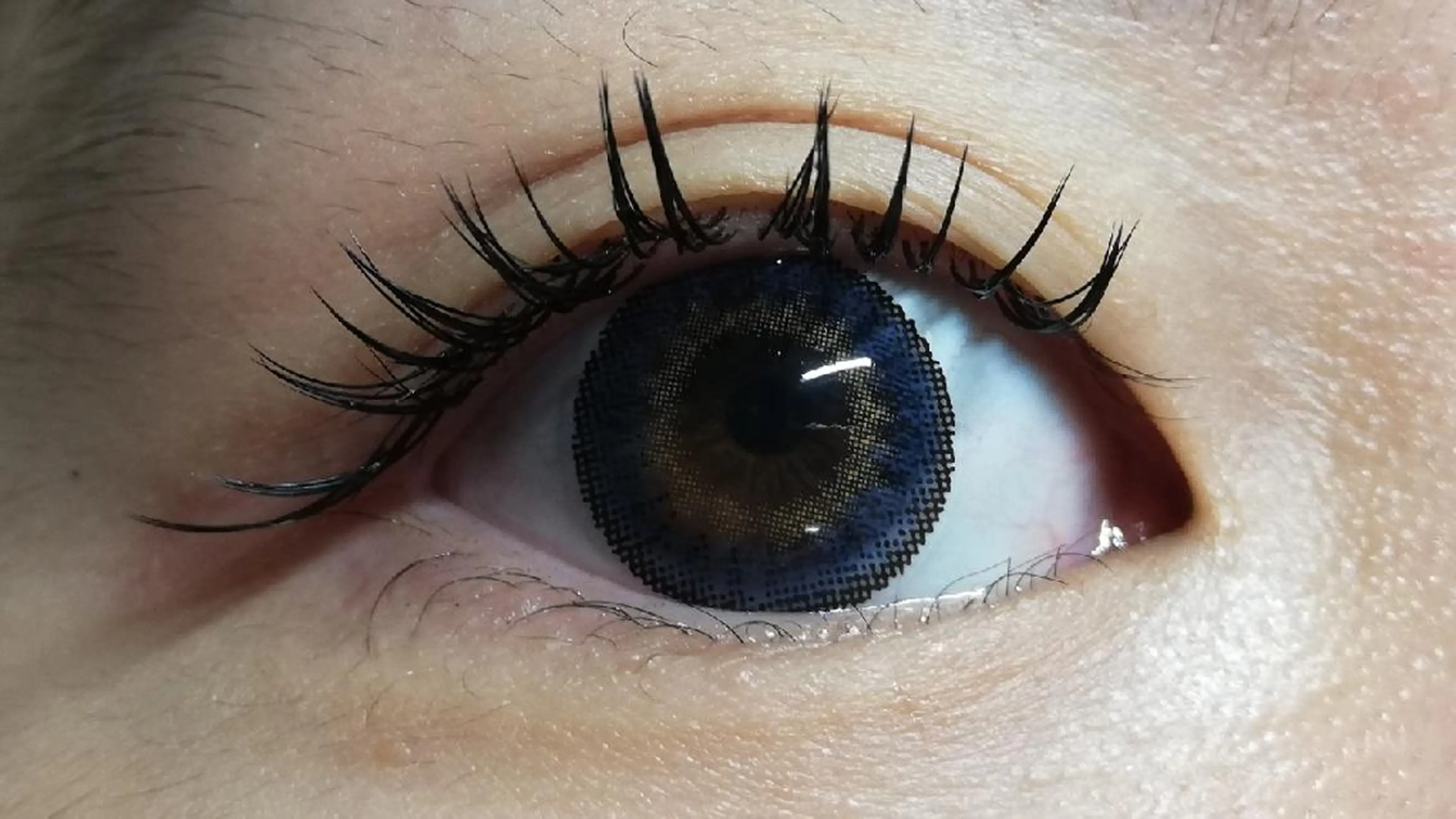 マツエク・マツパ キュート セーブル セクシー angelux 所属・完全個室サロン🌹 angelux🌹のマツエク・マツパデザイン