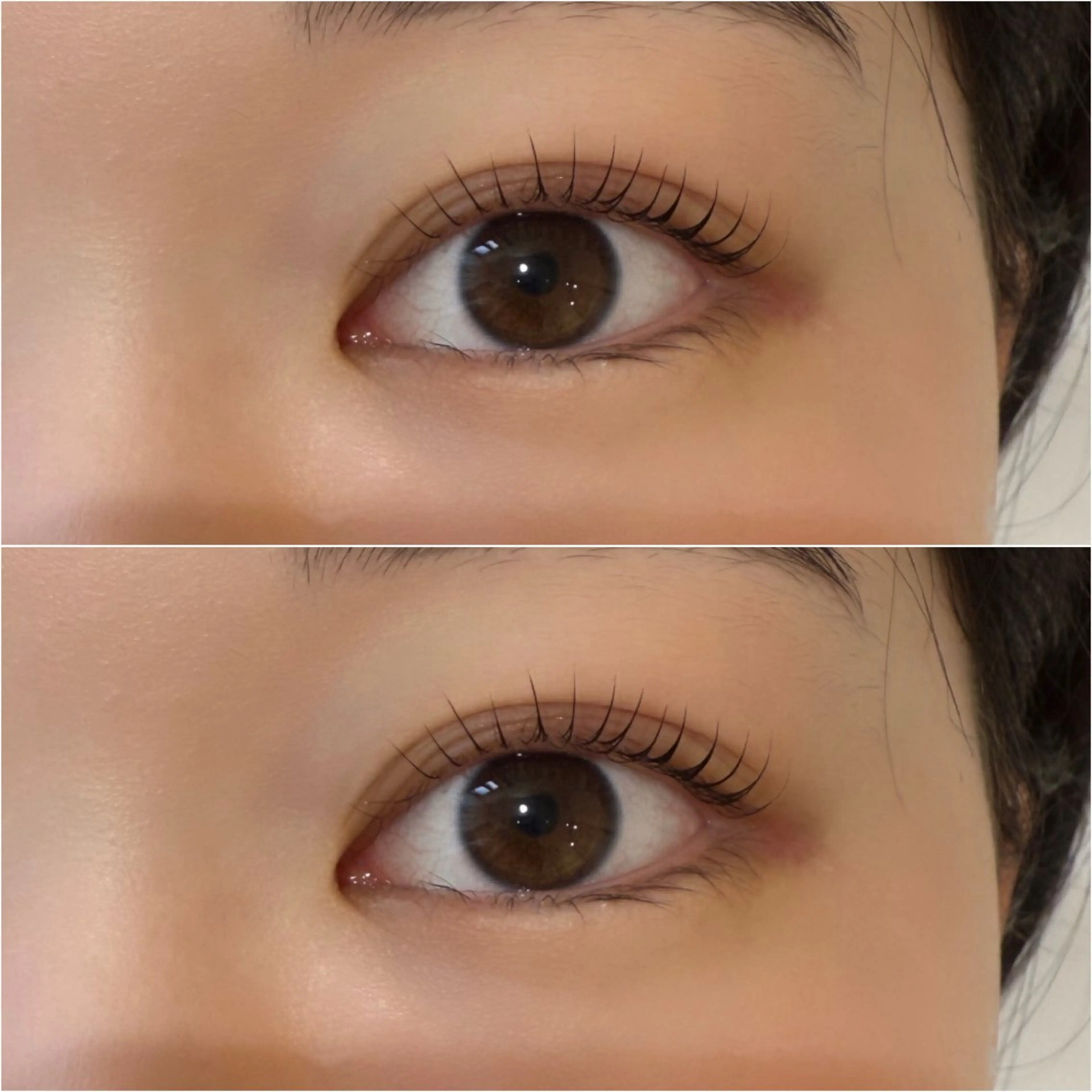 【U24限定】🌈上まつげパーマ🌈の写真