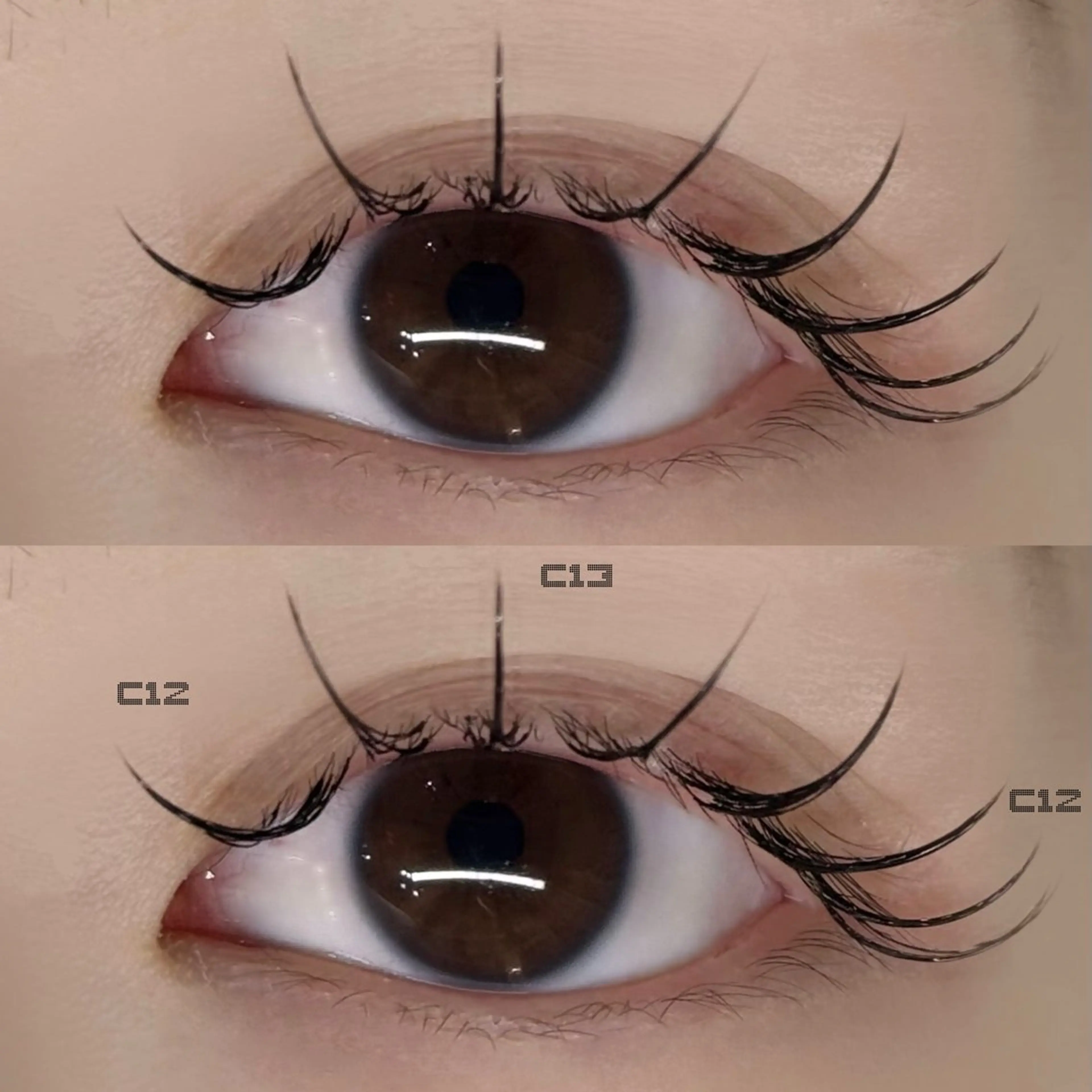 ãããšã¯ã»ããã Gypsyæå±ã»ðððžïžïžïžïž miotoã®ãããšã¯ã»ããããã¶ã€ã³