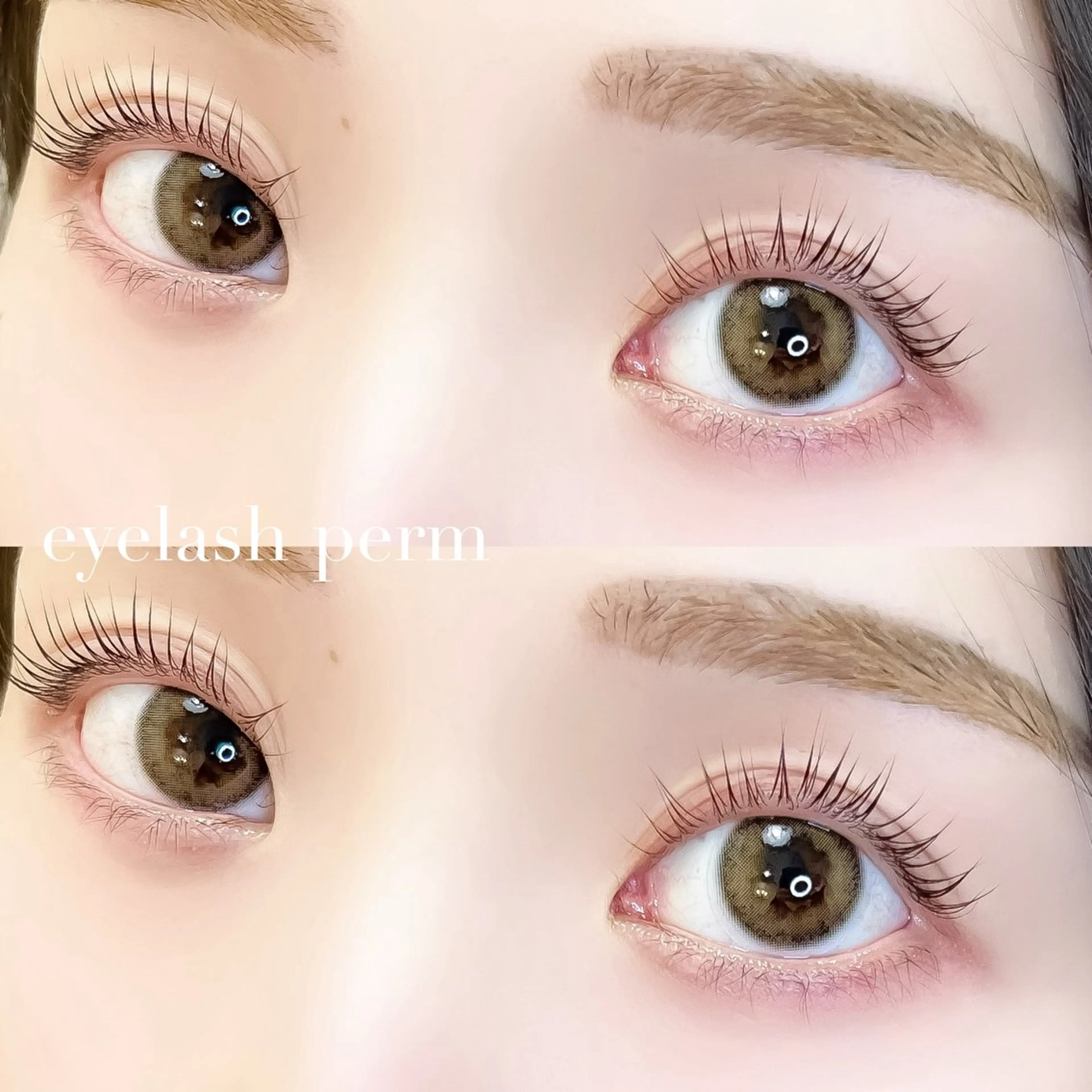 マツエク・マツパ arvo 新潟🤍 ogata 🌱のマツエク・マツパデザイン