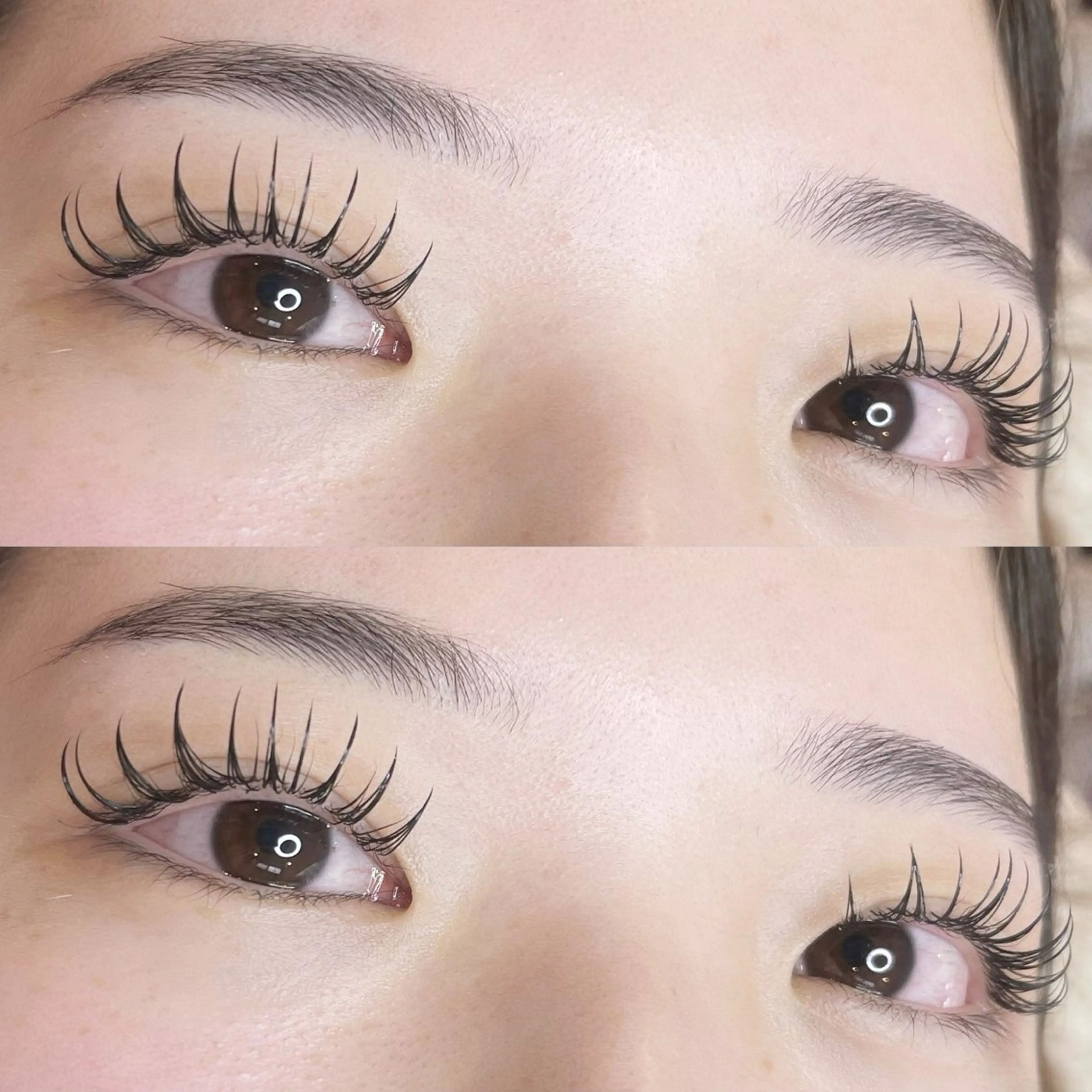 練習モデル🌸アンドヘルシー　マツエク＋パーマ　フラットラッシュ100本の写真