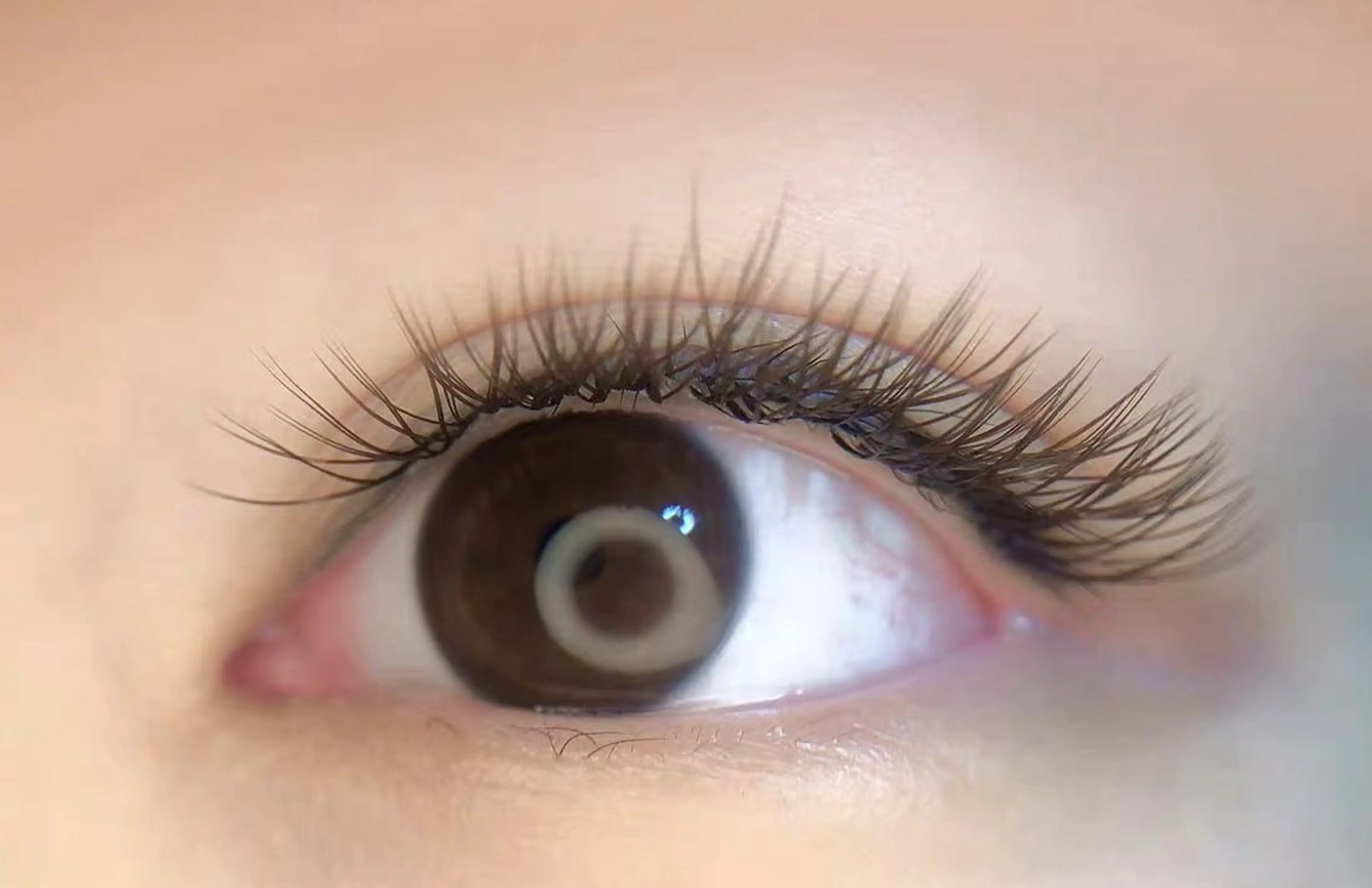 マツエク・マツパ Cute B e au t yのマツエク・マツパデザイン