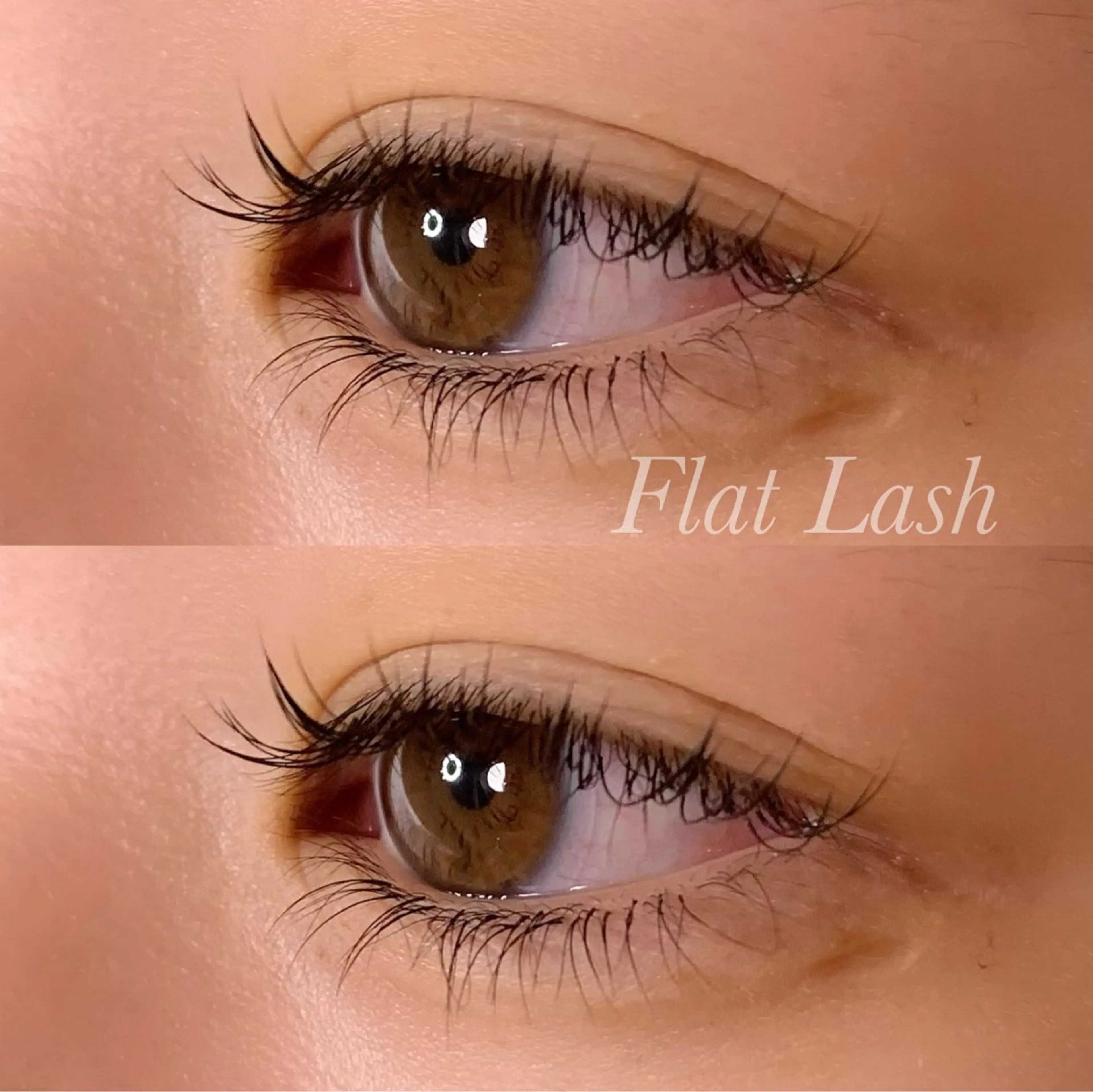 マツエク・マツパ Cカール フラットラッシュ マツエク Ayumi.pro 🍆N《4階》のマツエク・マツパデザイン