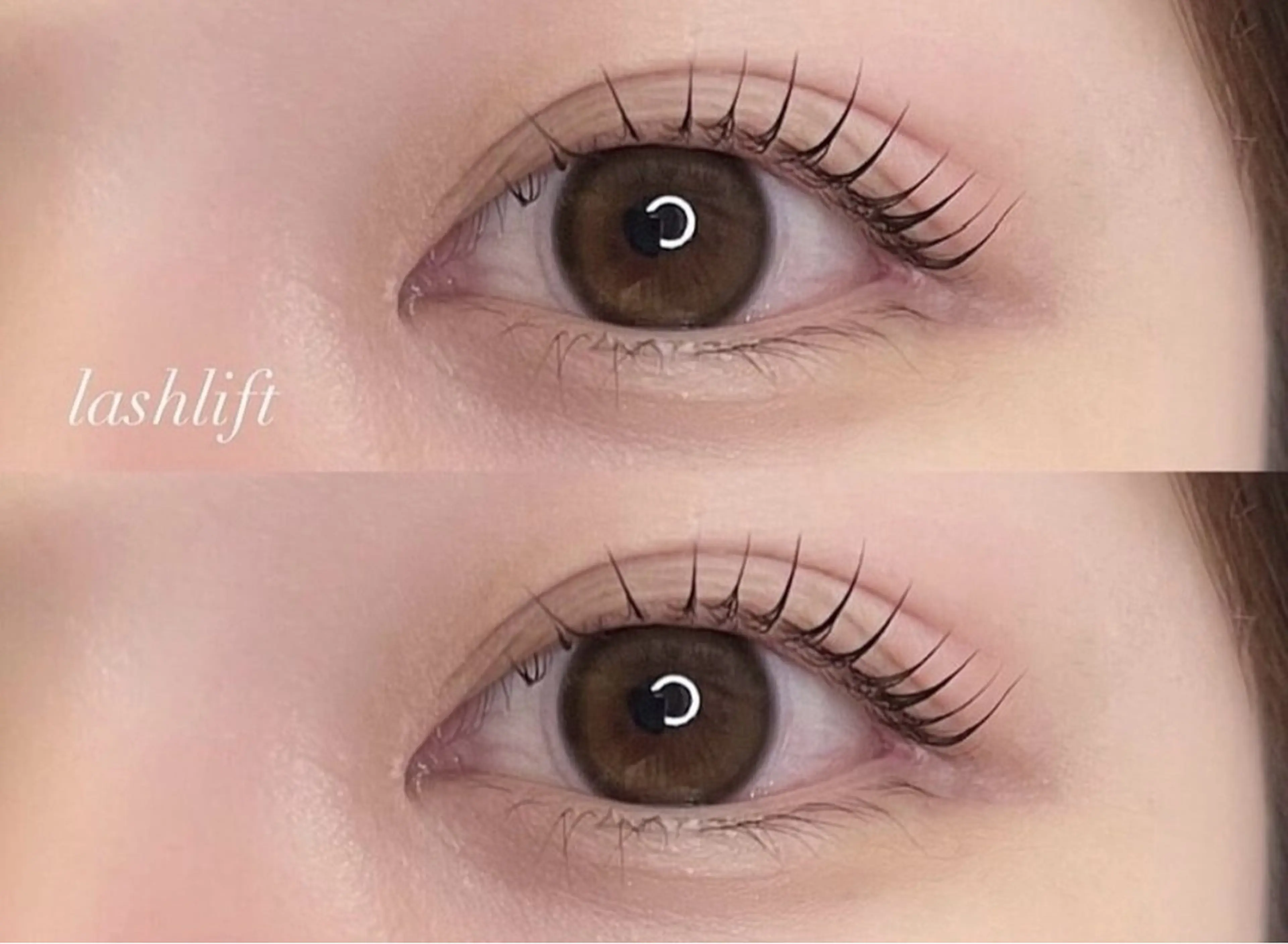 【12月限定】🩷まつ毛パーマ💜の写真