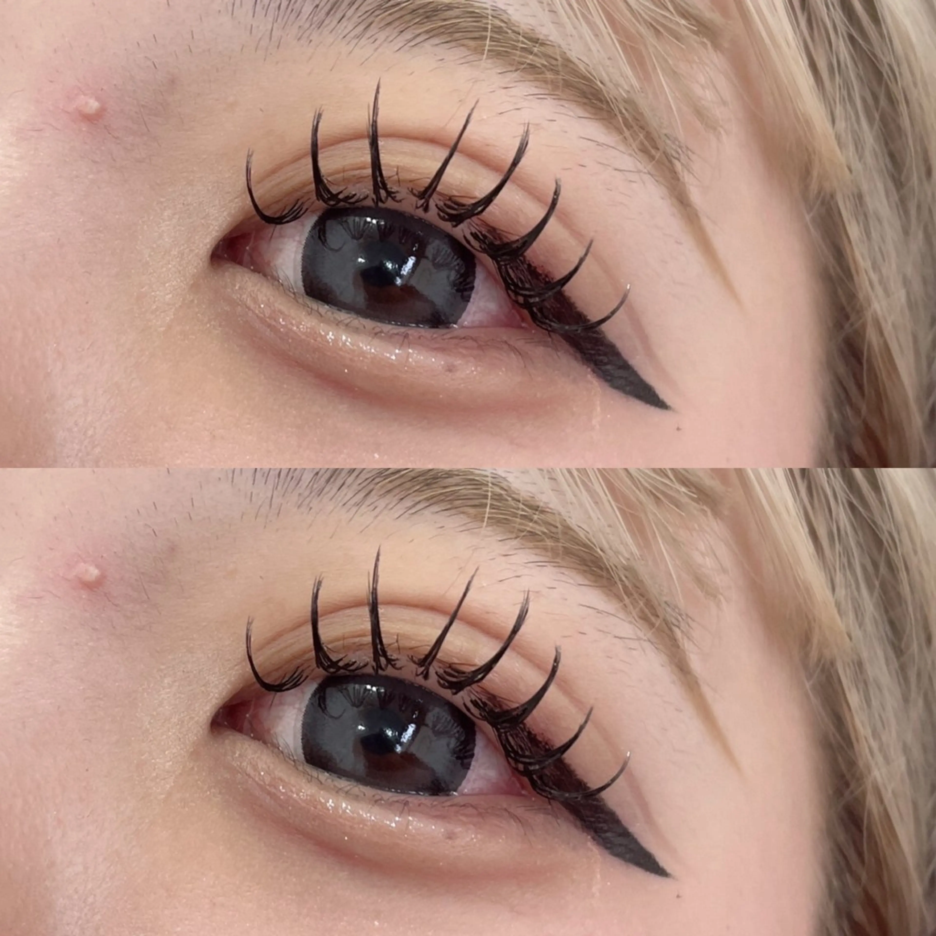 ✨11時​〜​20時✨　バインドロック100束　⚠️VuRiE本店になりますの写真