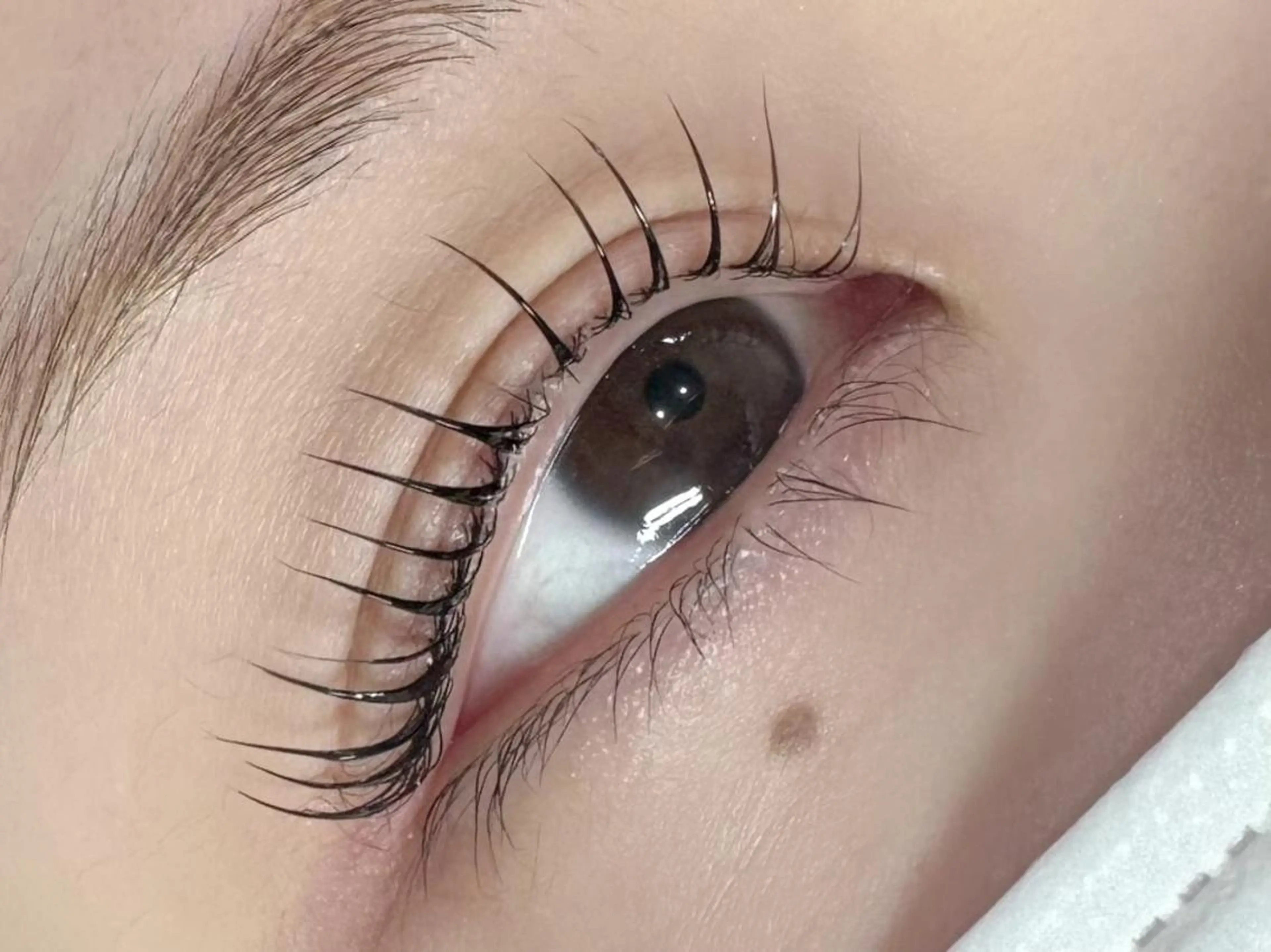 マツエク・マツパ パリジェンヌラッシュリフト gioia スタッフのマツエク・マツパデザイン