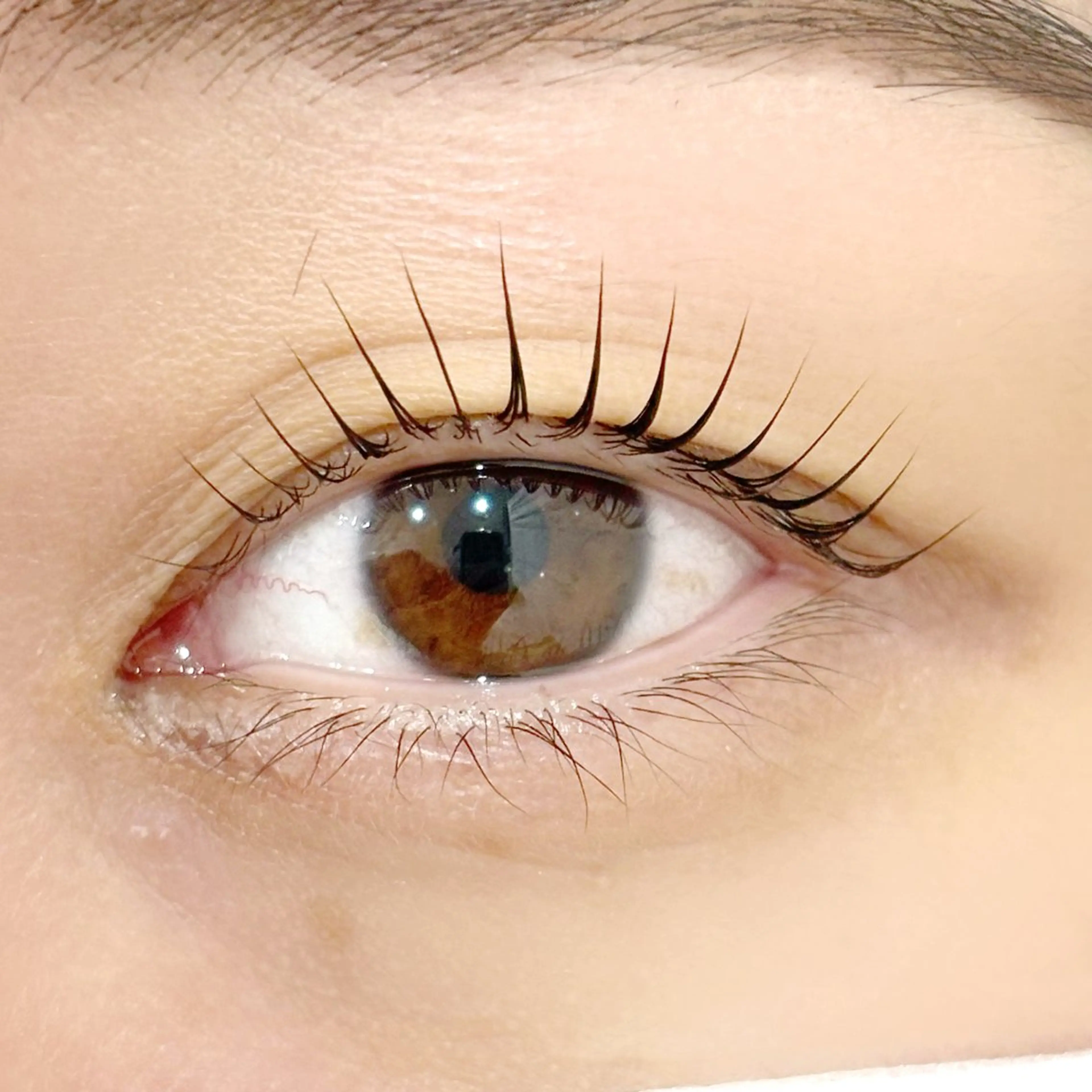 マツエク・マツパ マツパ 藤原 みやびのヘアスタイル