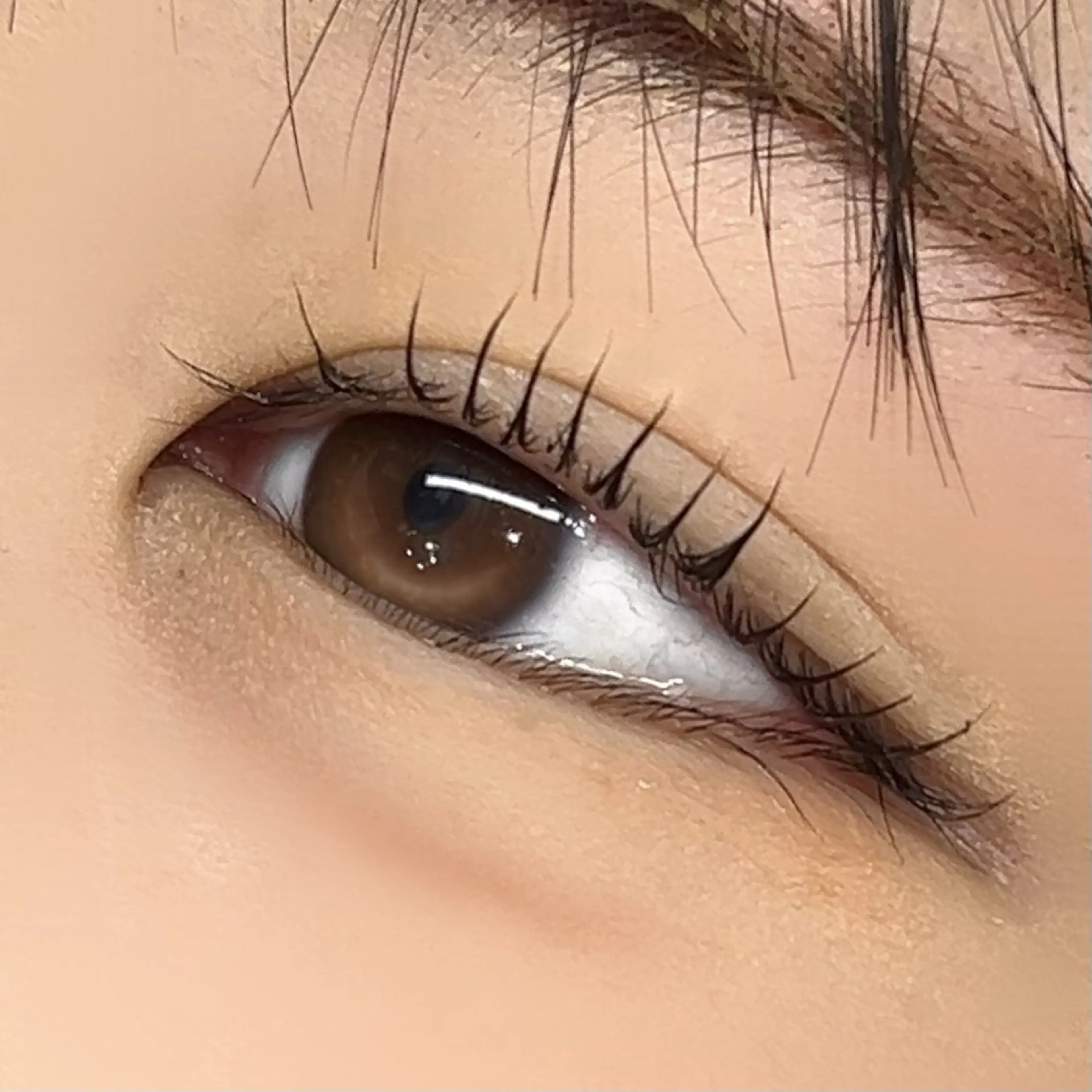 マツエク・マツパ Lian所属・【Lian】 らん🦋のマツエク・マツパデザイン