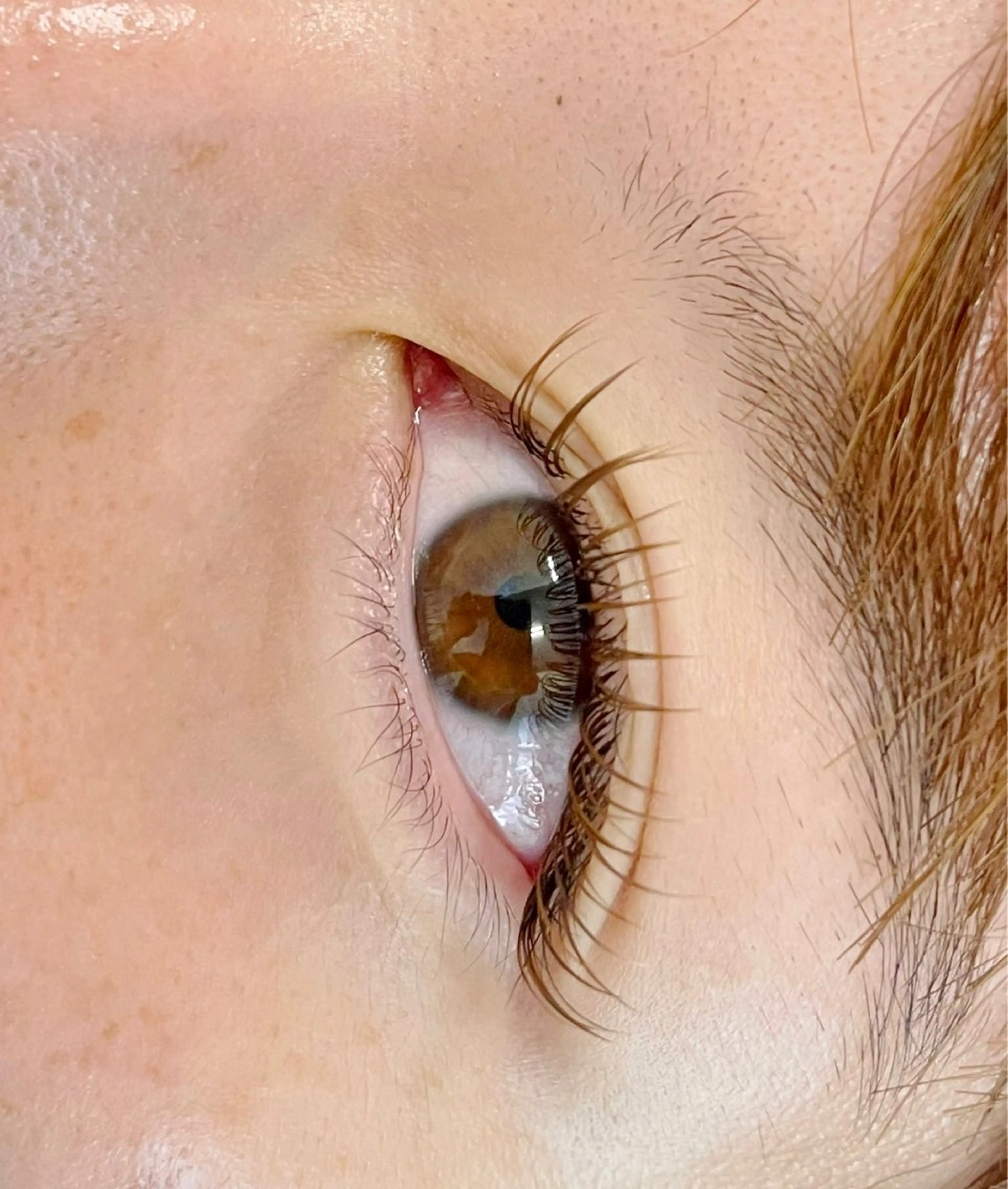 🤎カラーエクステ限定クーポン🧸フラットラッシュブラウンカラー120本の写真