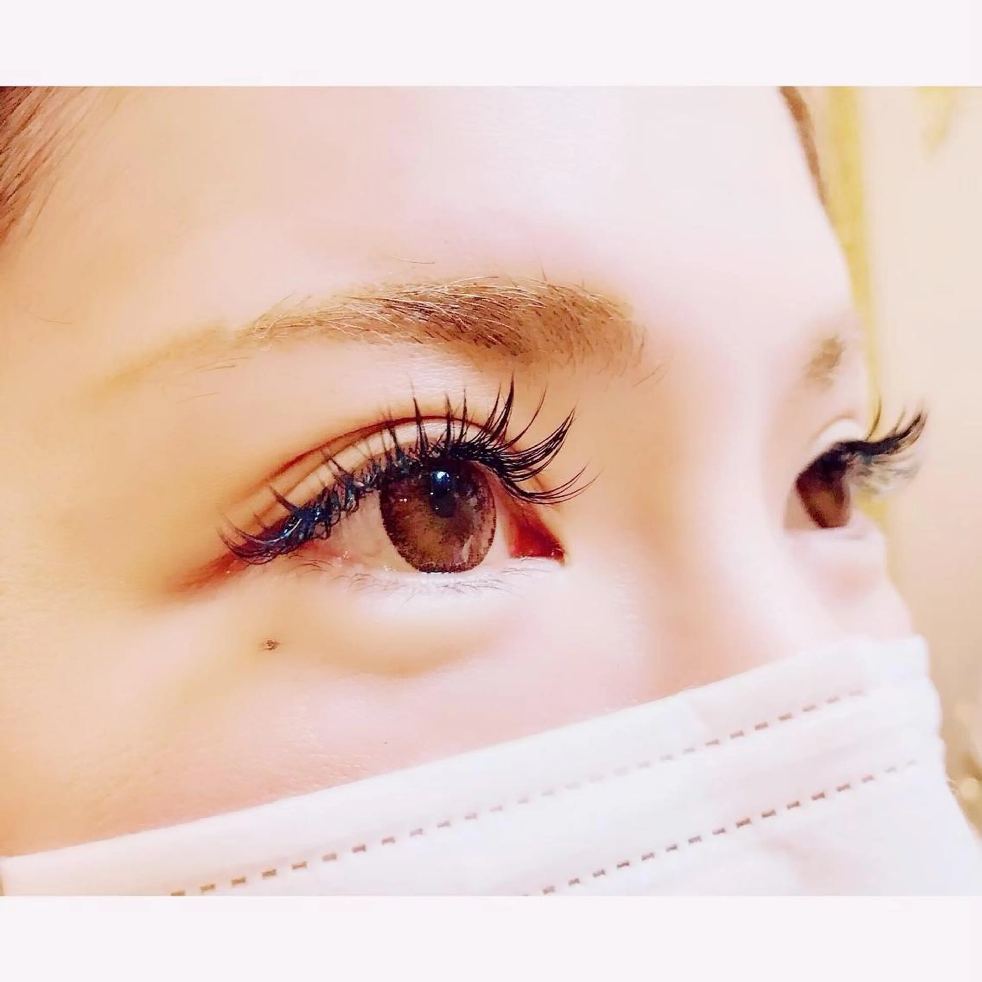 ご新規様3Dフェザーボリュームラッシュ☺︎オフ込100束オフ無し120束🌱の写真