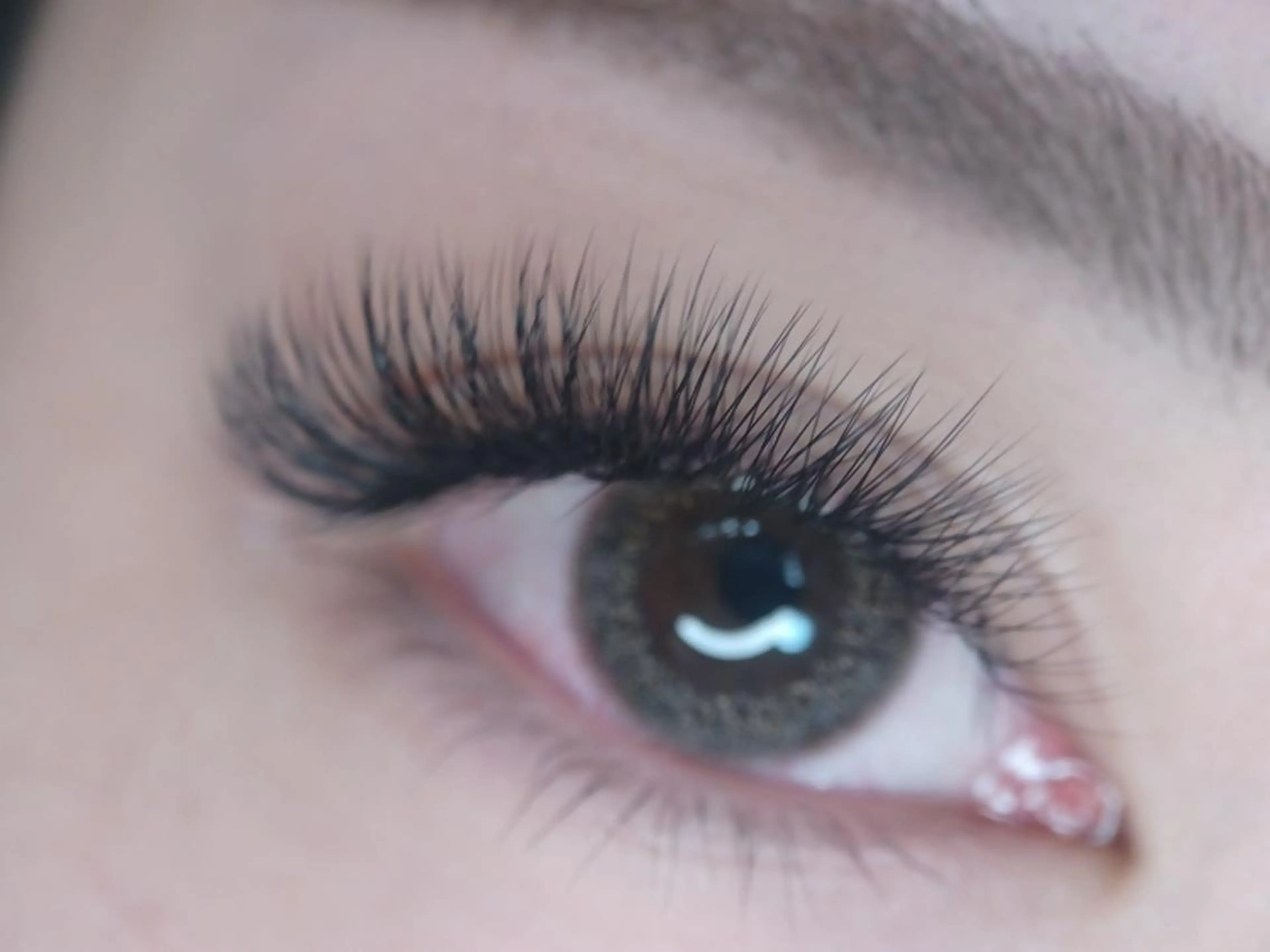 ボリュームラッシュ2D～8D 付け放題 160束までoff込の写真