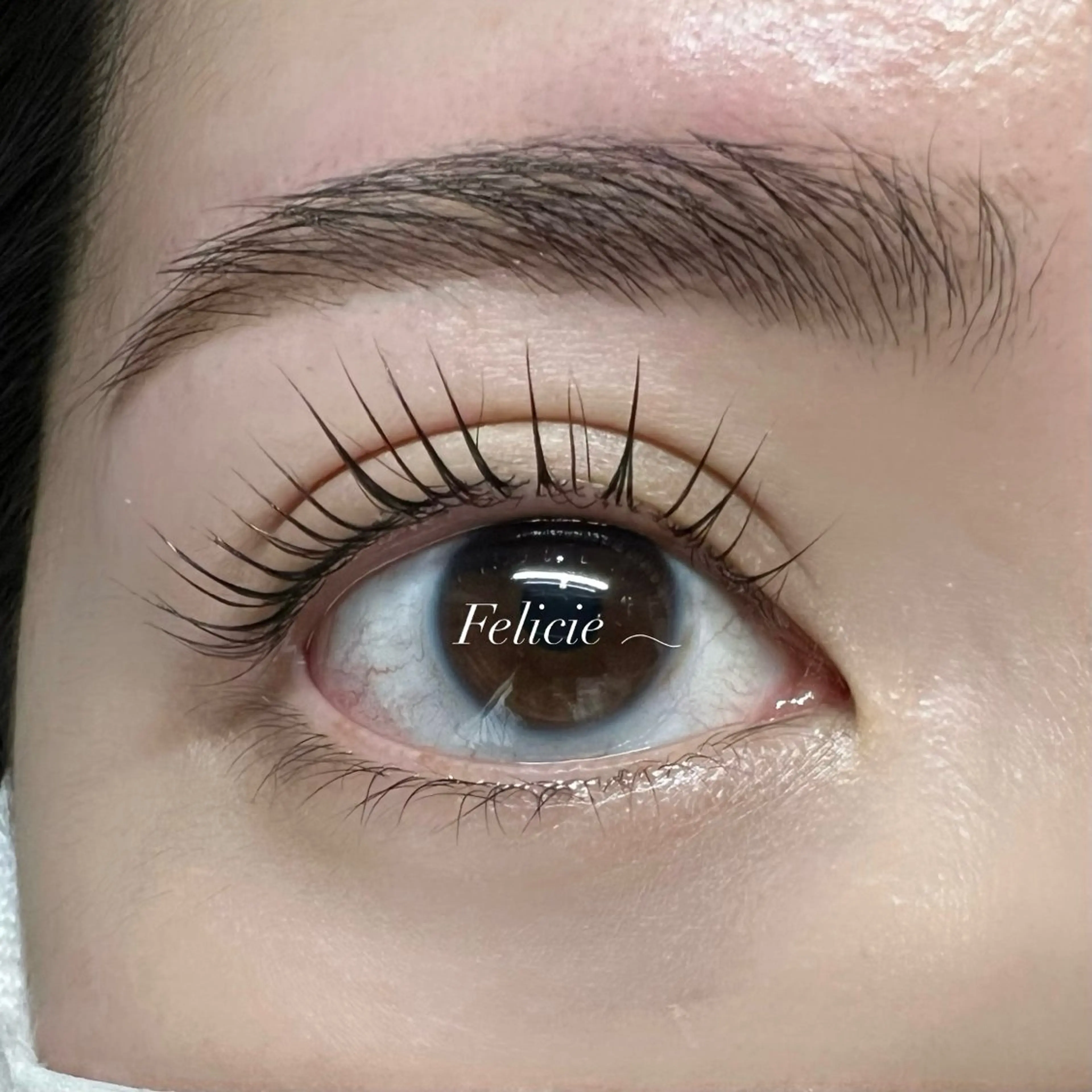 マツエク・マツパ パリジェンヌラッシュリフト マツパ Felicie＊ Sayakaのマツエク・マツパデザイン