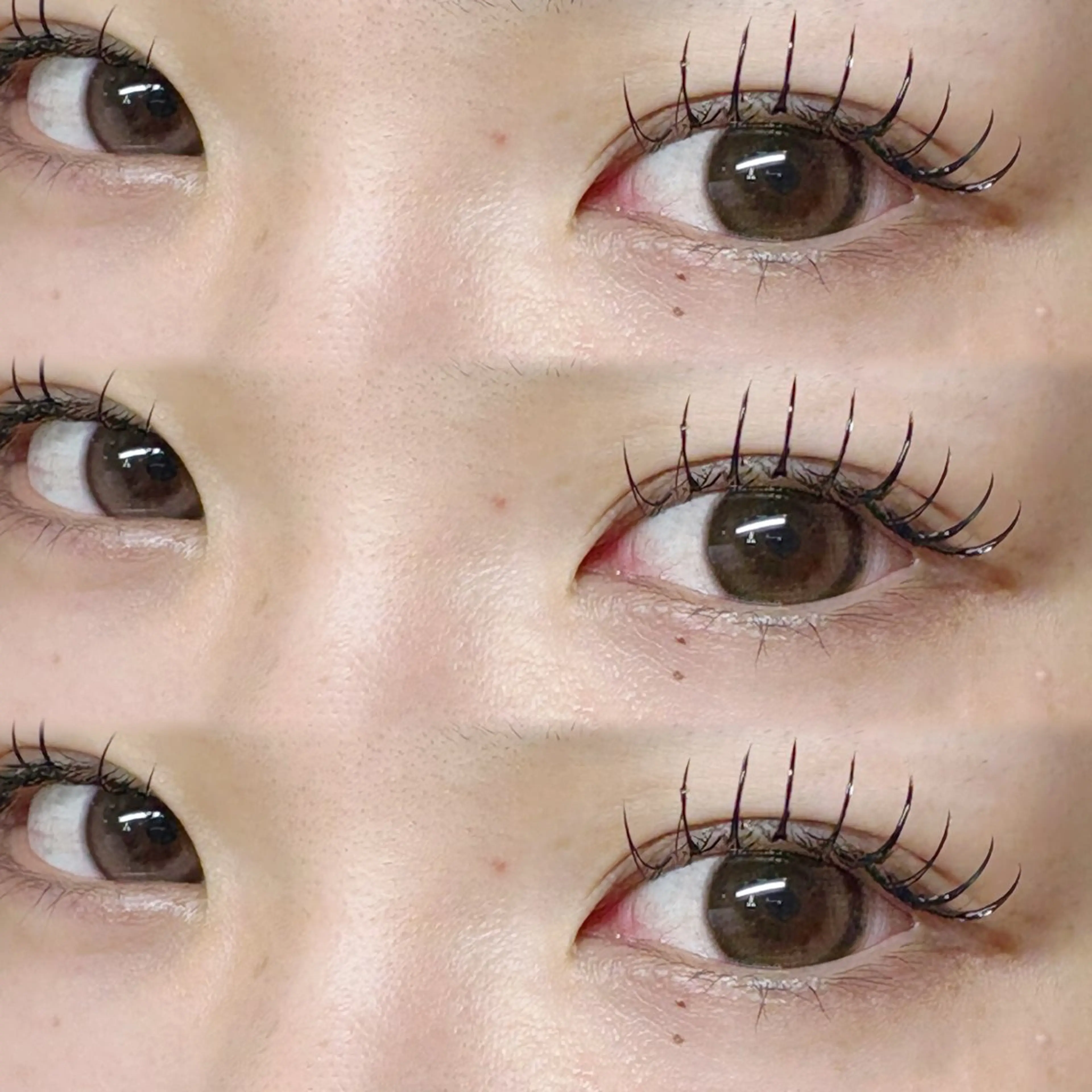 フラットラッシュ140本💕の写真