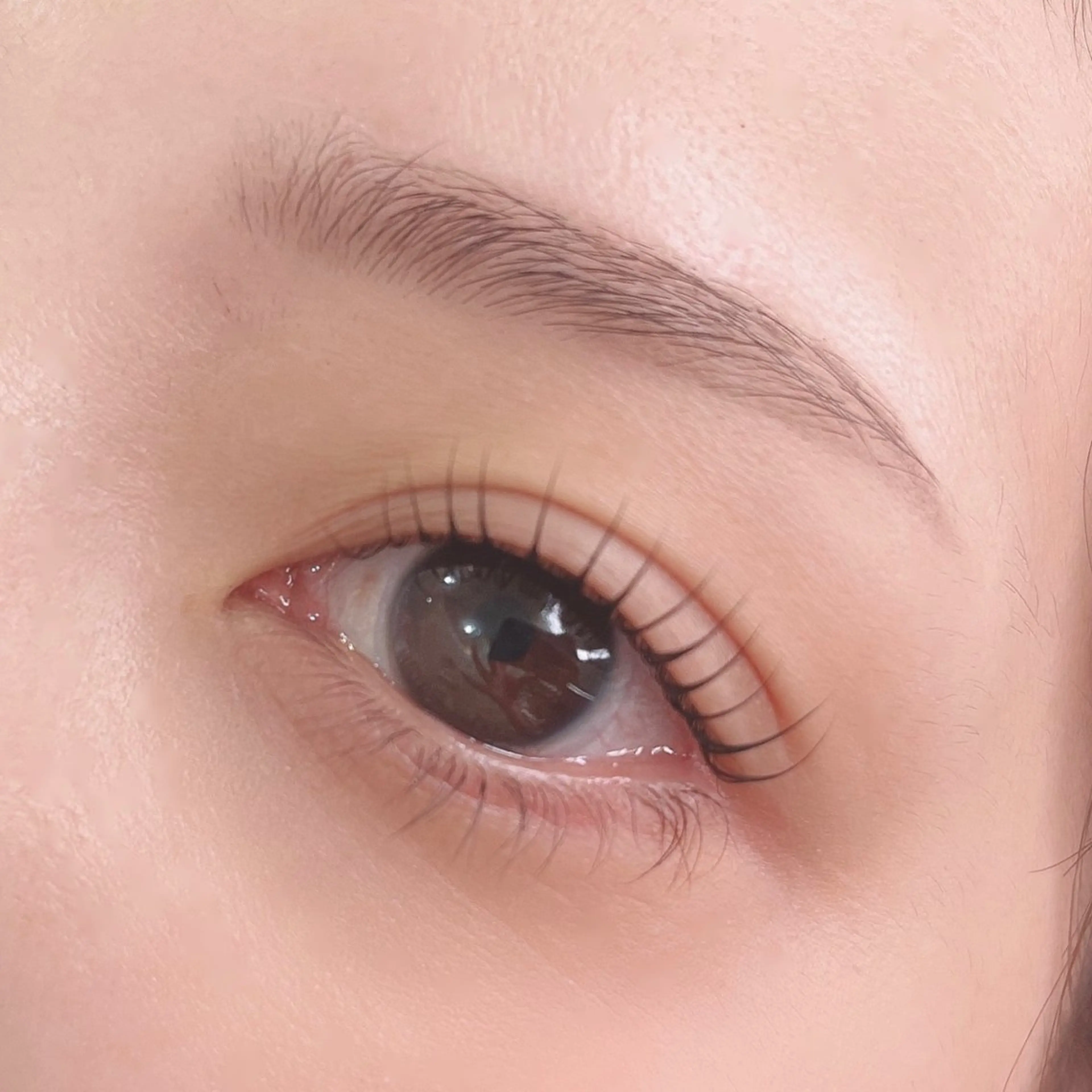 マツエク・マツパ Fiato Yuukaの眉毛・アイブロウイメージ