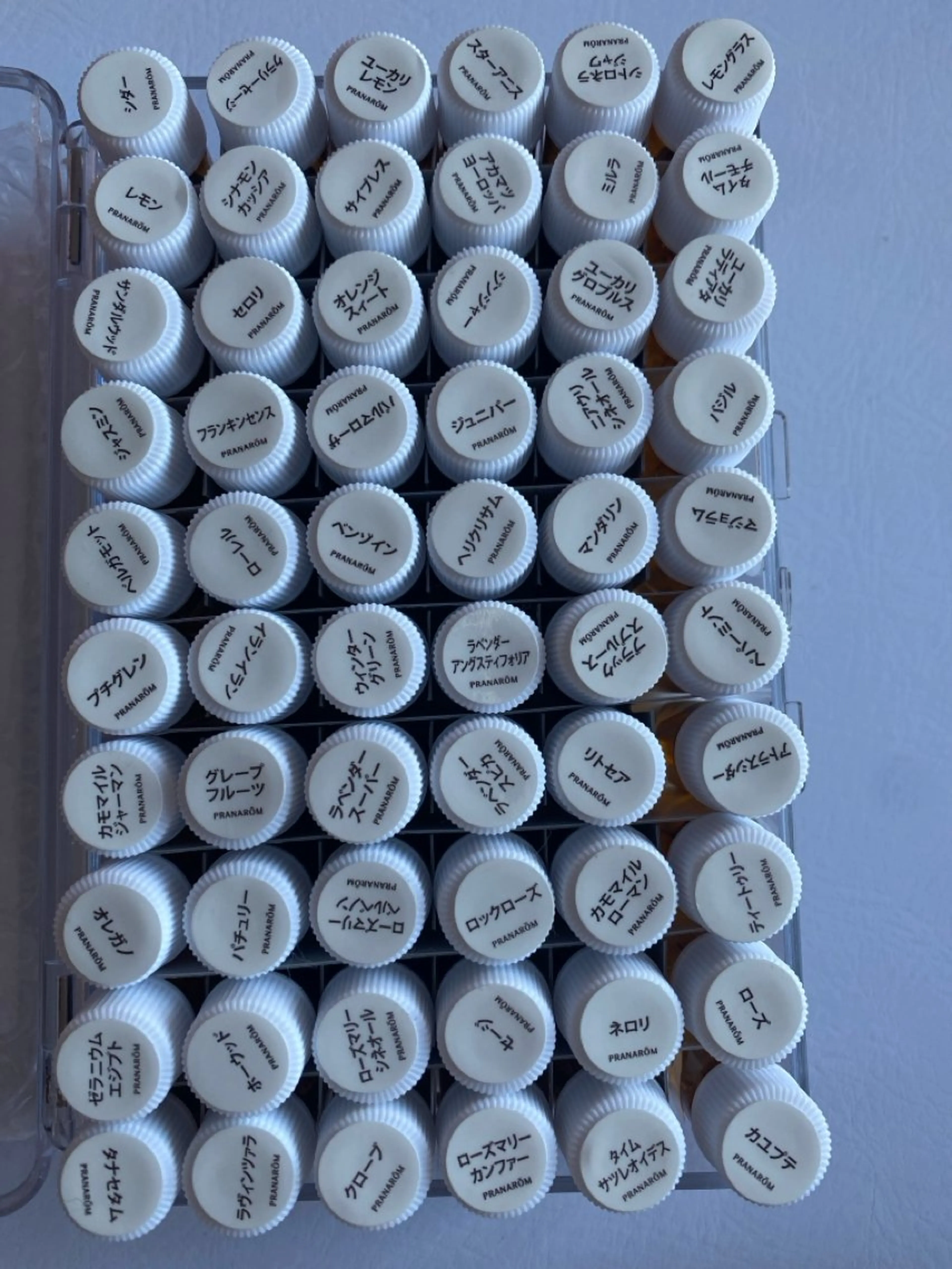 Ｎ７＋所属・N7+ エヌセブンプラスのエステ・リラクイメージ