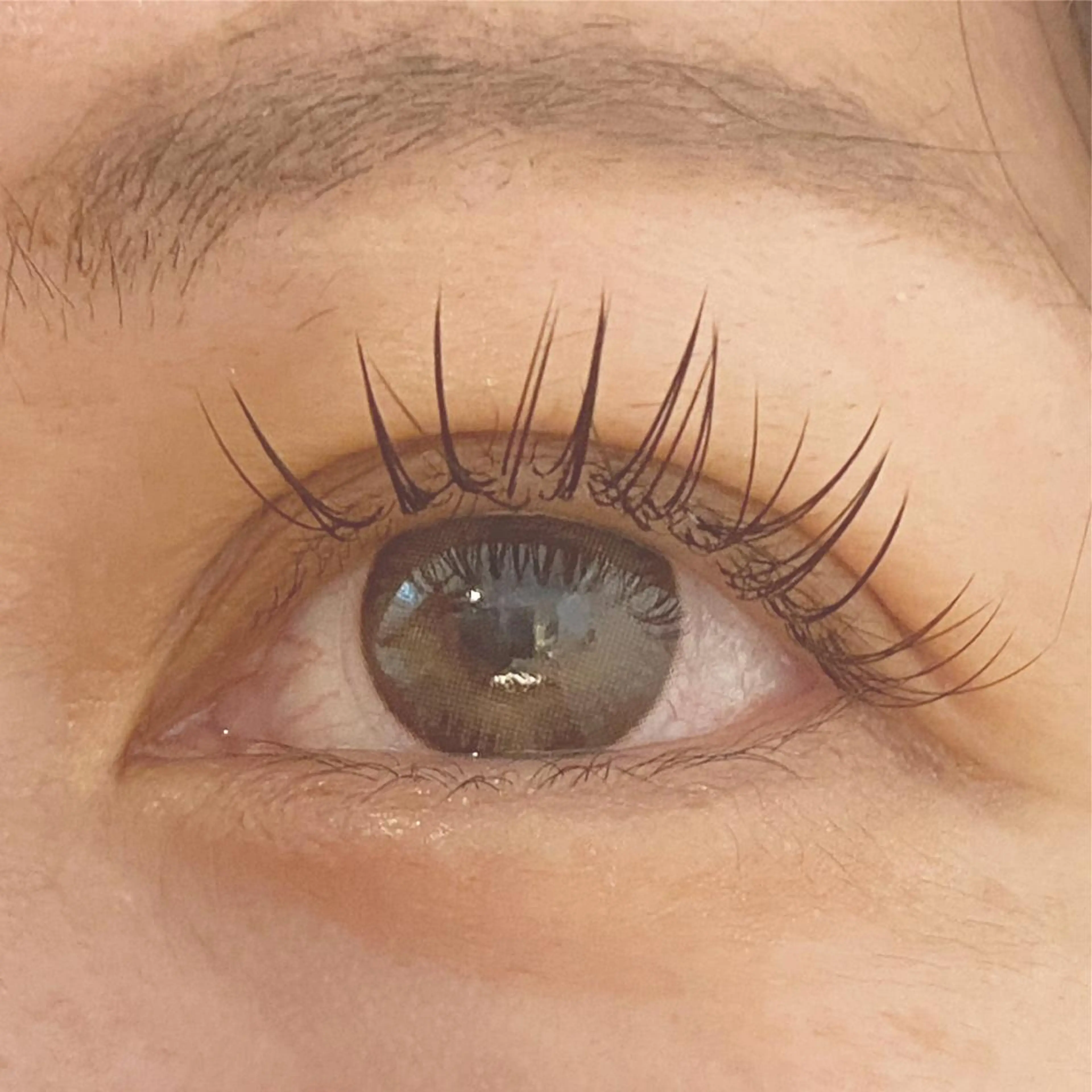 マツエク・マツパ 𝐑𝐮𝐧𝐚❤︎ ワンホンの眉毛・アイブロウイメージ