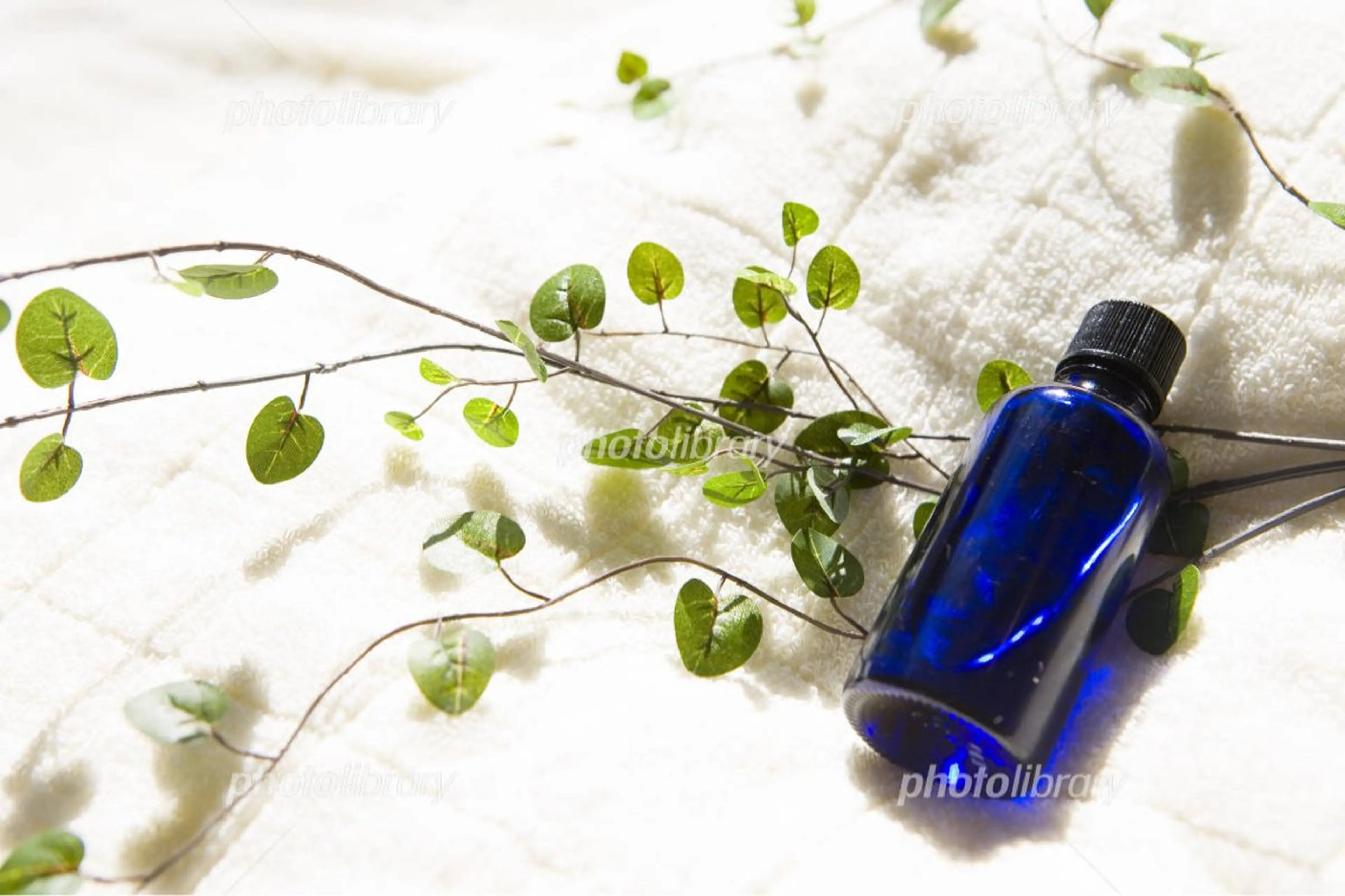 【全身リラックスアロマトリートメント】70​〜​80分 🕊️の写真