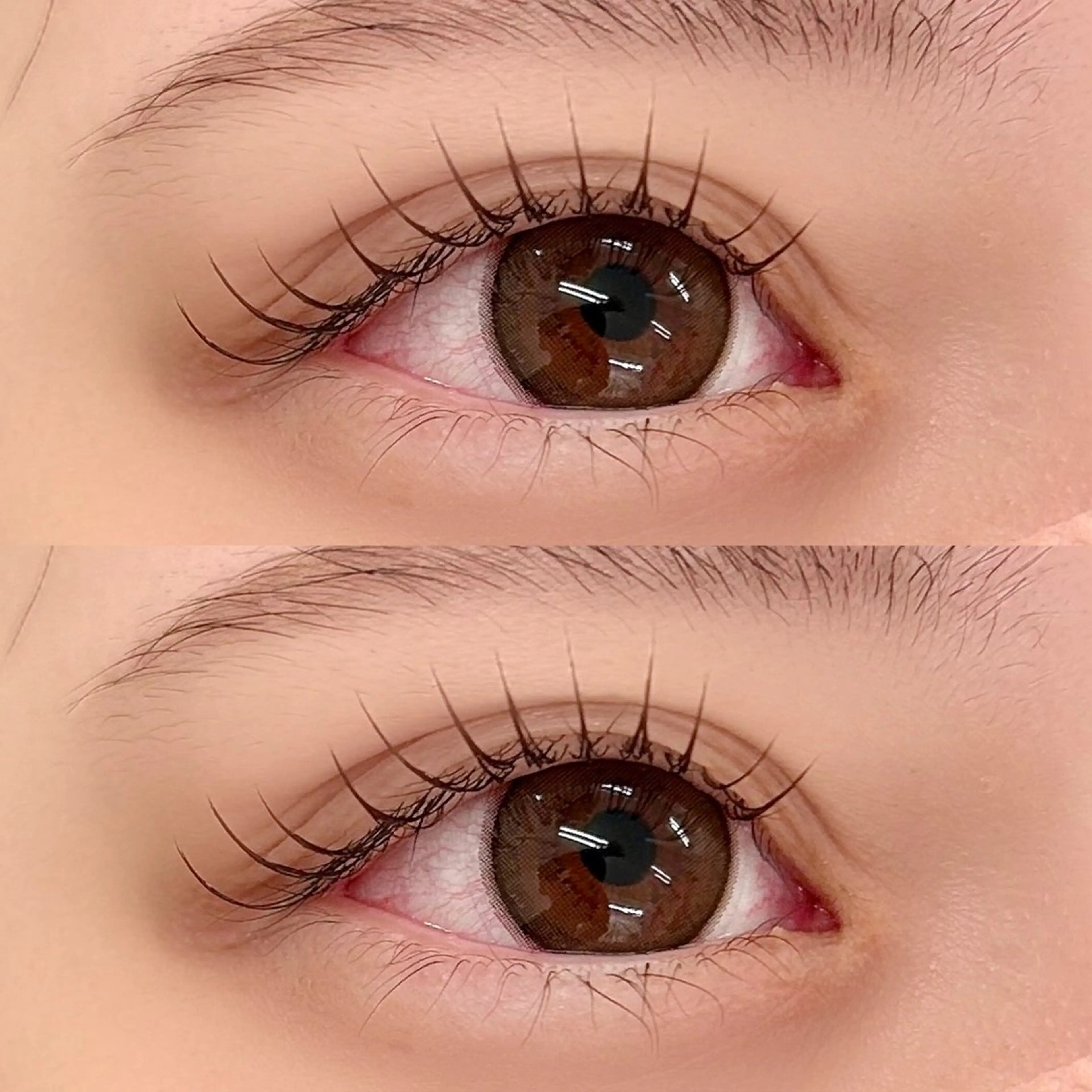 マツエク８０本(オフ無し)🏹の写真