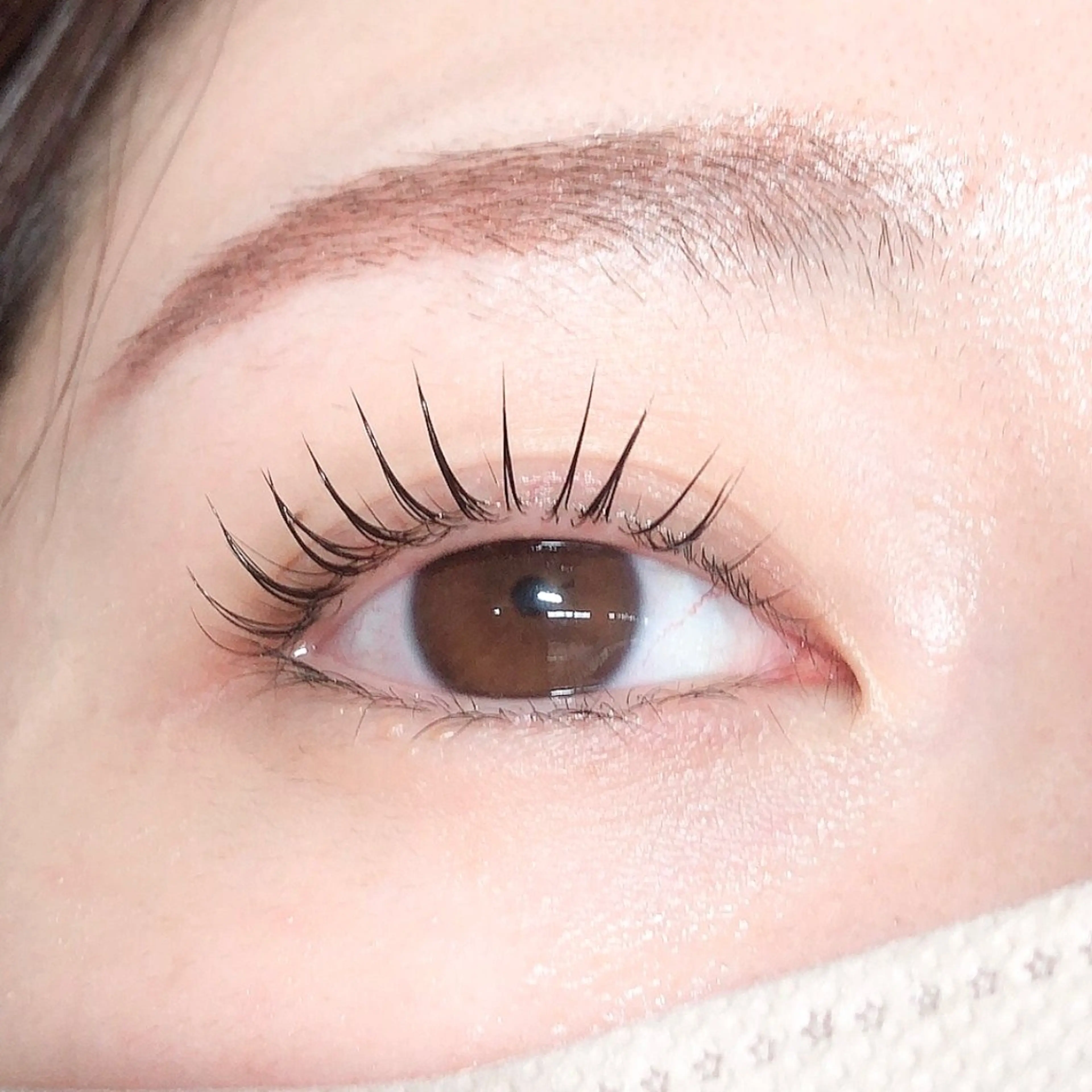 【当日限定クーポン】ブラックケラチン+パリジェンヌラッシュリフトの写真