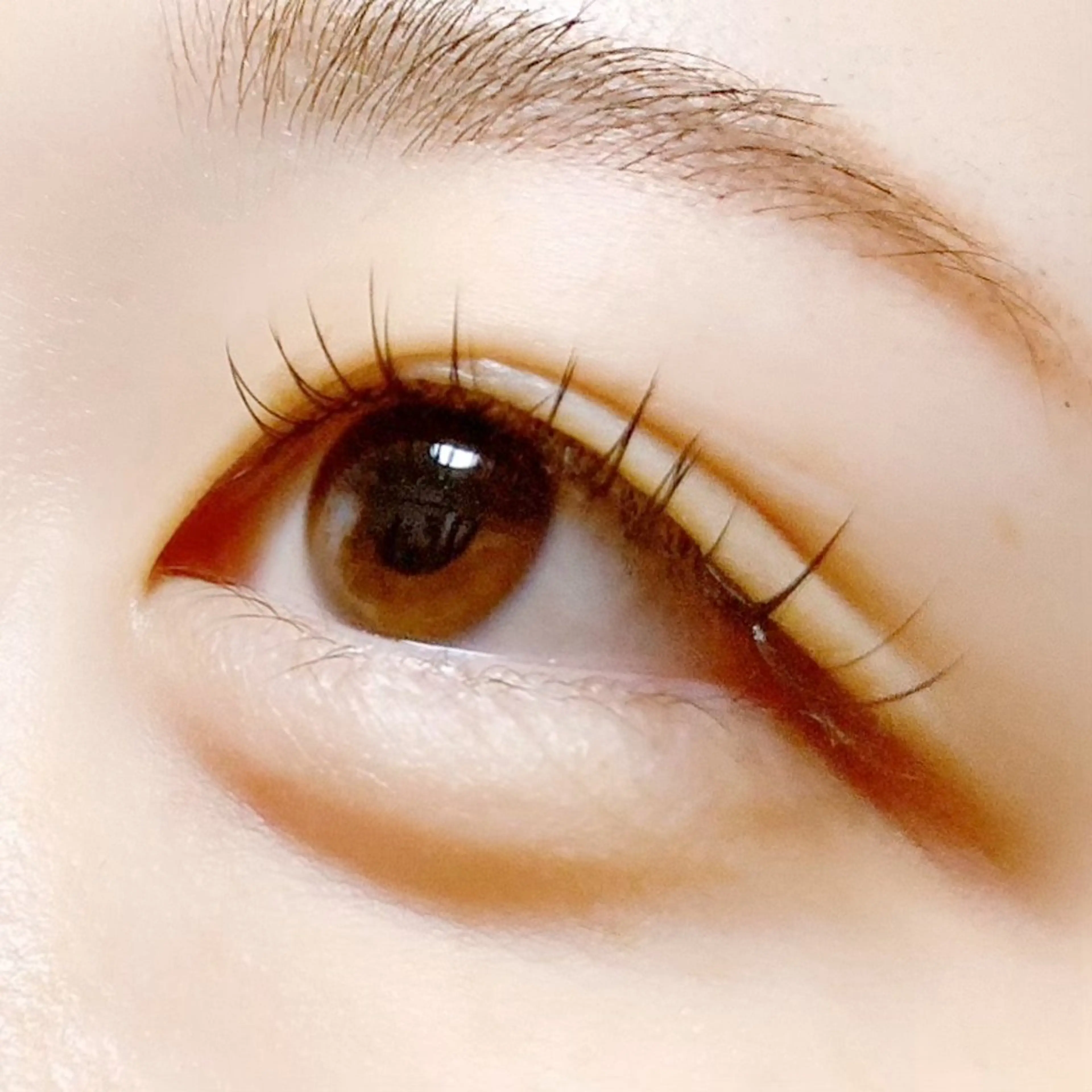 マツエク・マツパ 束感まつ毛 Hase　本八幡 🧸マツエク専門🧸のマツエク・マツパデザイン