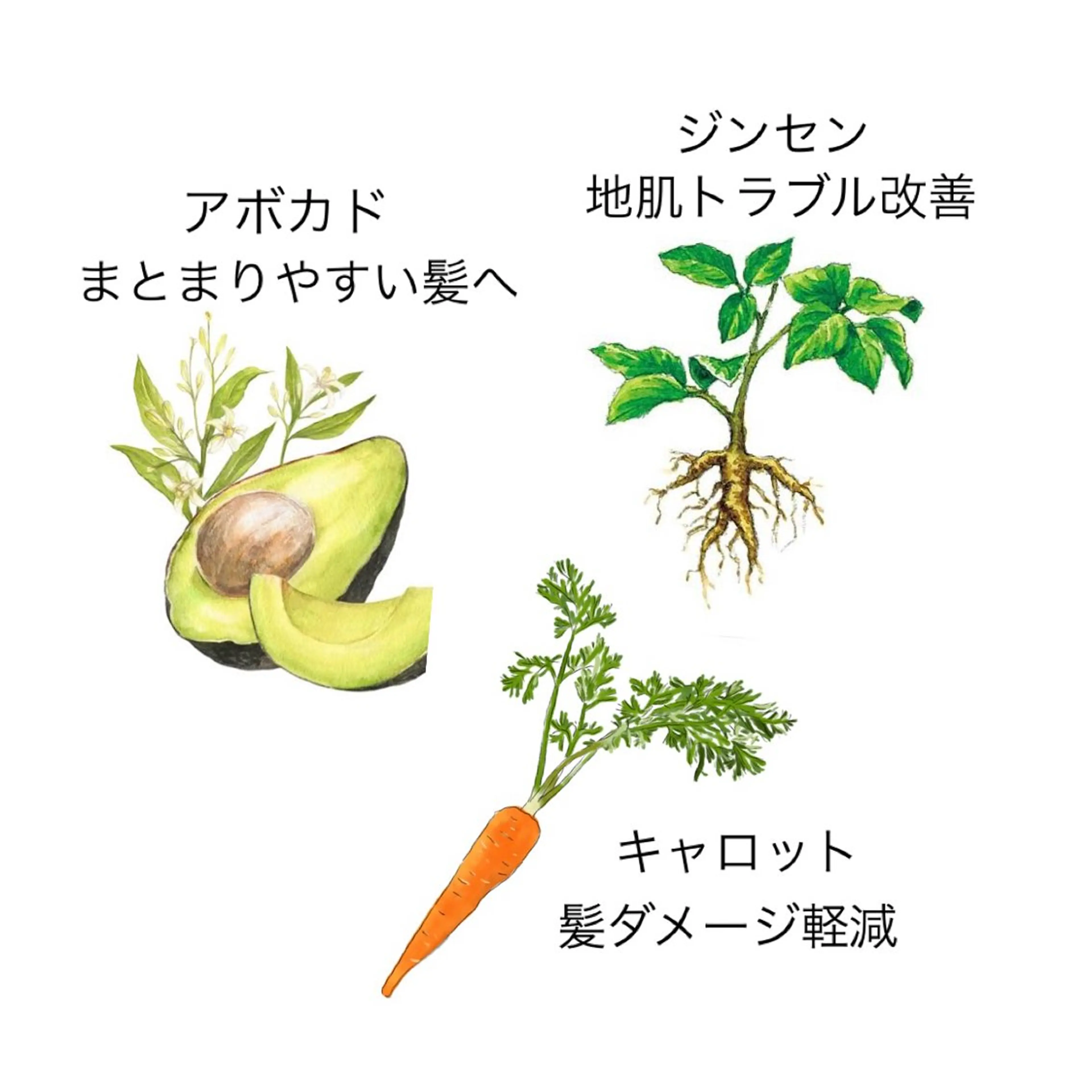 【バリ島本格ヘッドスパ🏝️】カット+クリームバスの写真