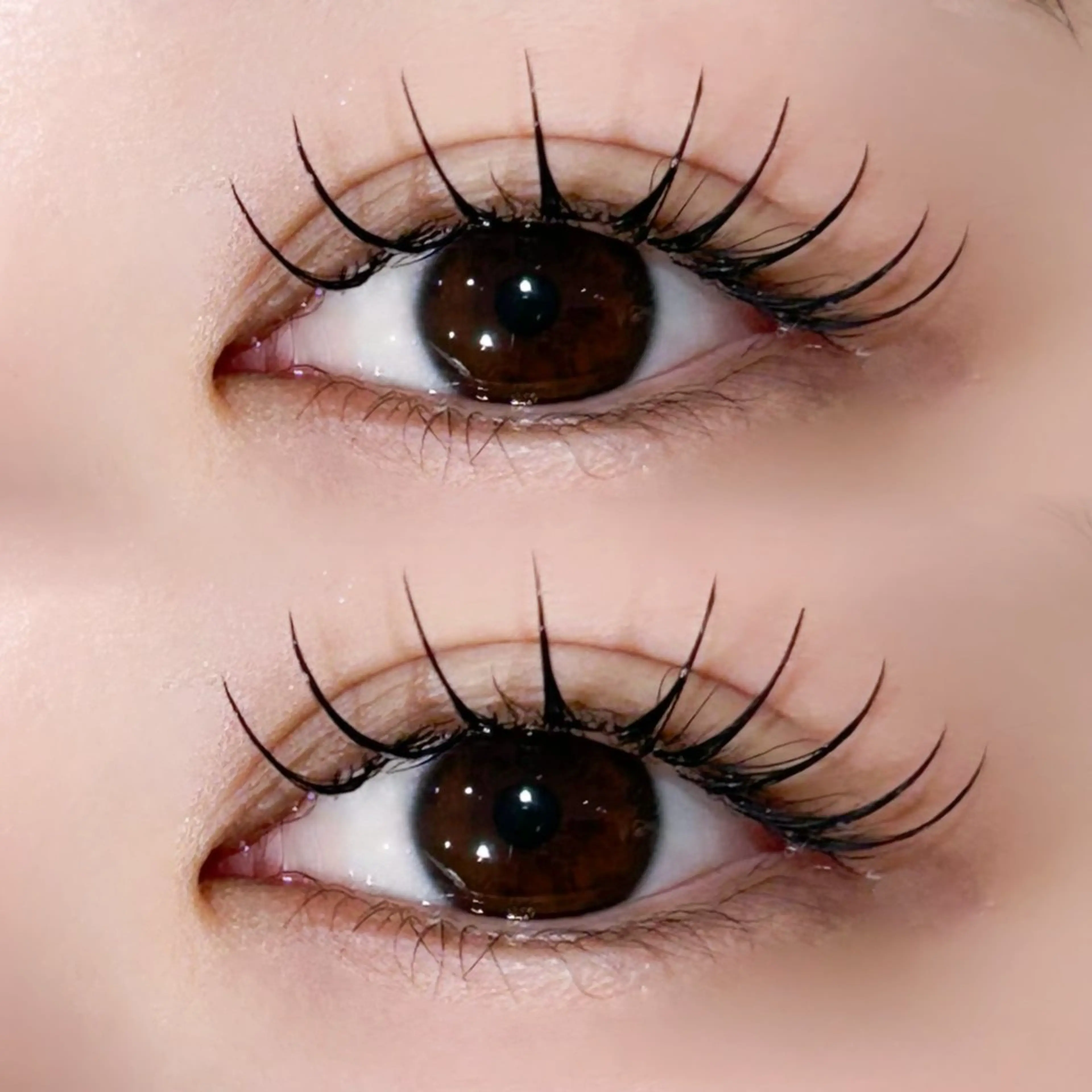 マツエク・マツパ 【TRISH】 かのん🎀🐰ྀིのマツエク・マツパデザイン