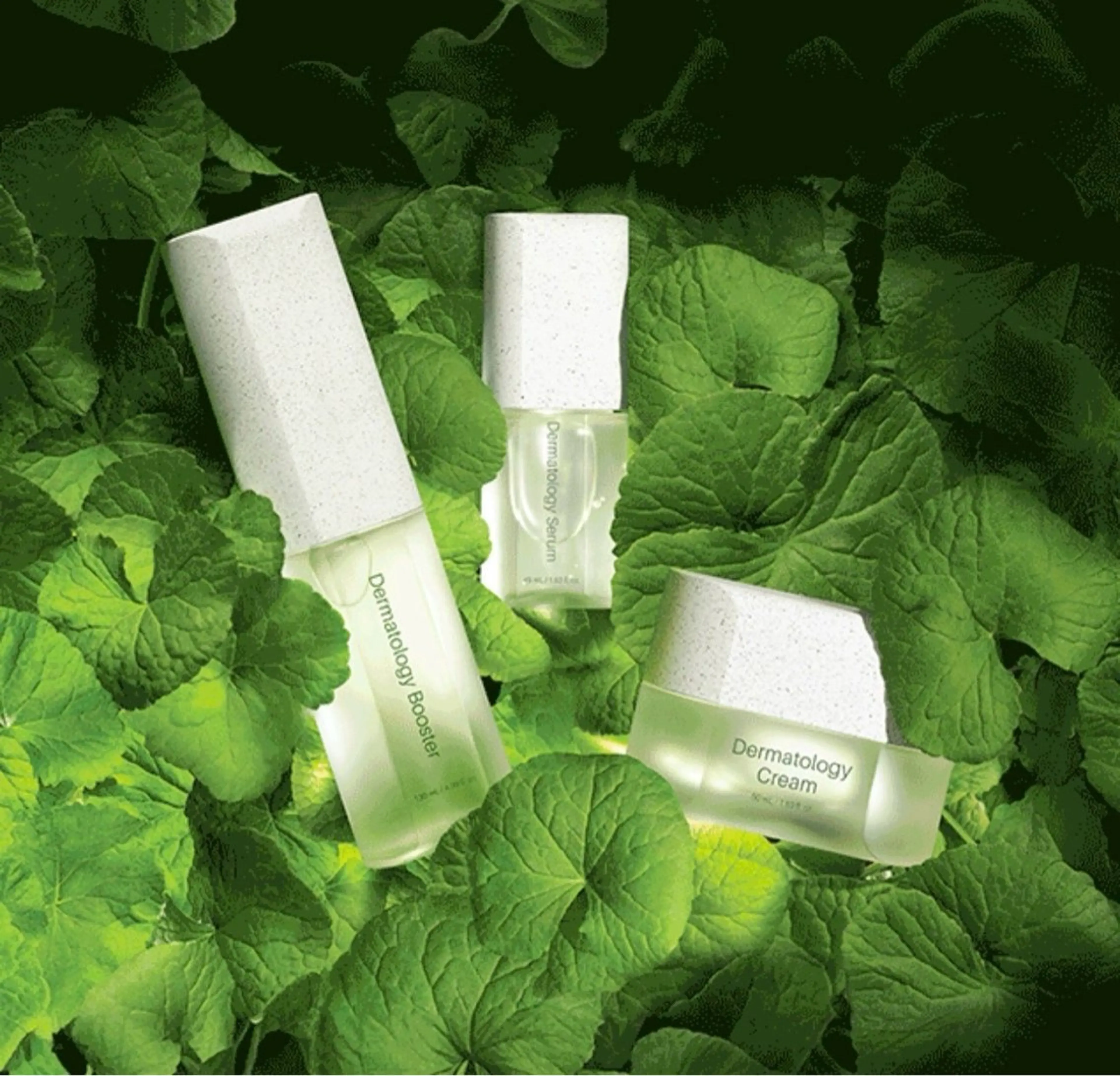 【vidyto】ヴィディトゥ所属・肌管理サロン vidyto　MOEのエステ・リラクイメージ