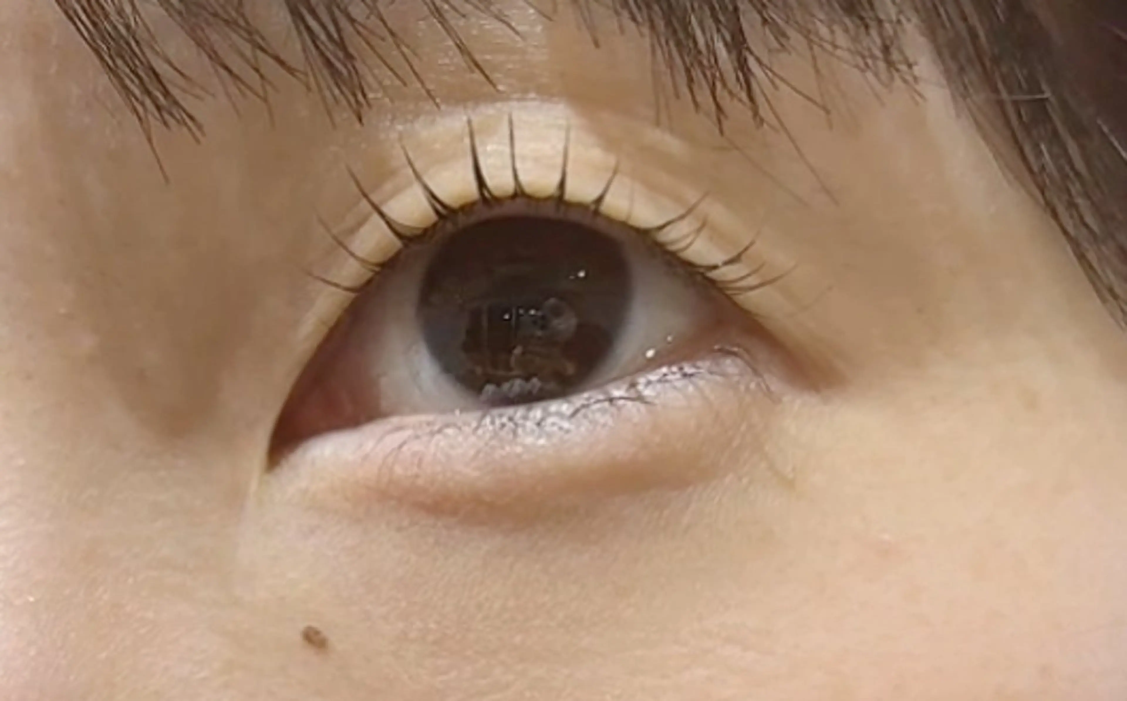 マツエク・マツパ SEED&Beauty代官山所属・ABE 祐天寺アイラッシュのマツエク・マツパデザイン