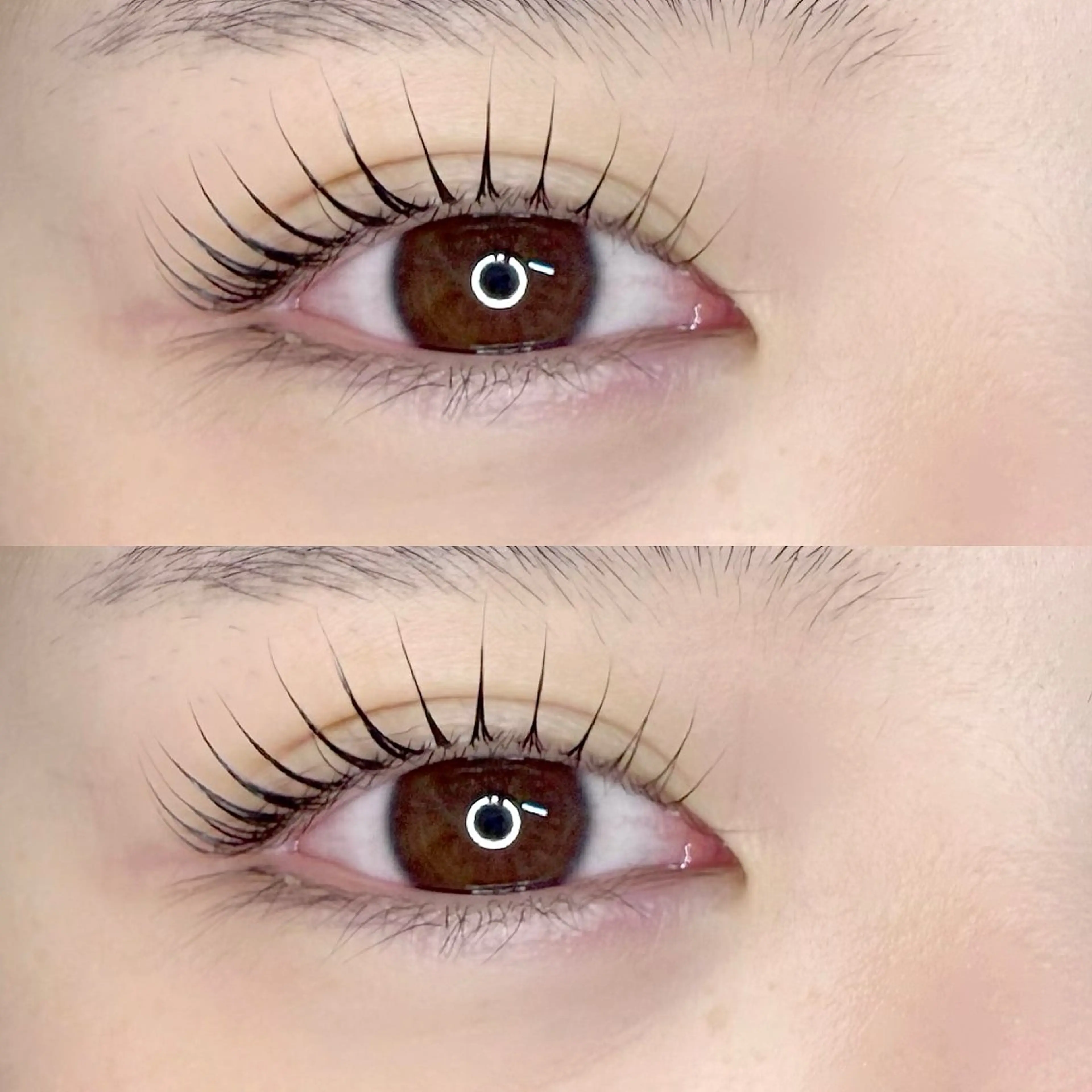 似合わせまつ毛パーマ🎀(トリートメント･美容液コーティング付)の写真