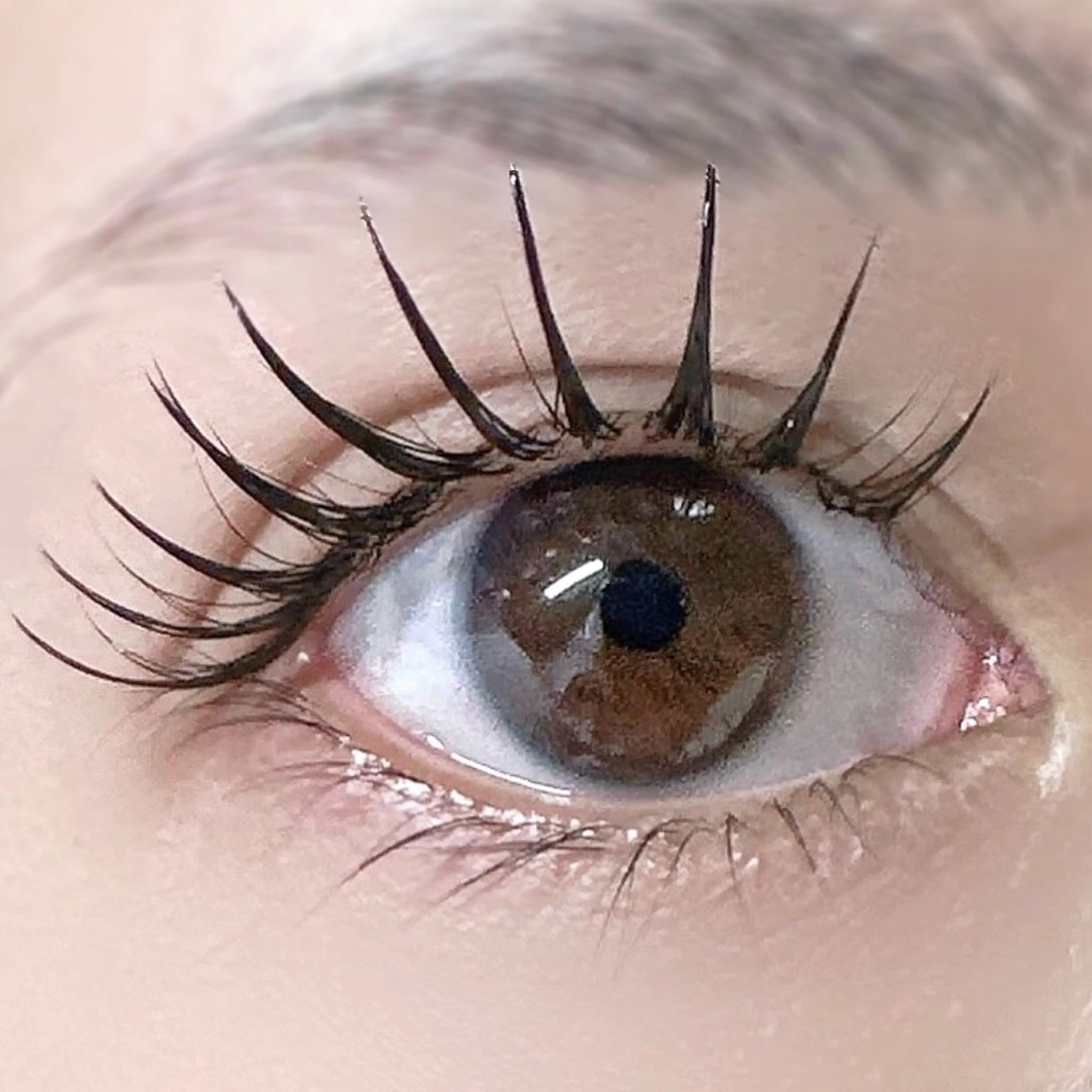 マツエク・マツパ Cカール フラットラッシュ マツエク マツエク専門店 cyunaのマツエク・マツパデザイン