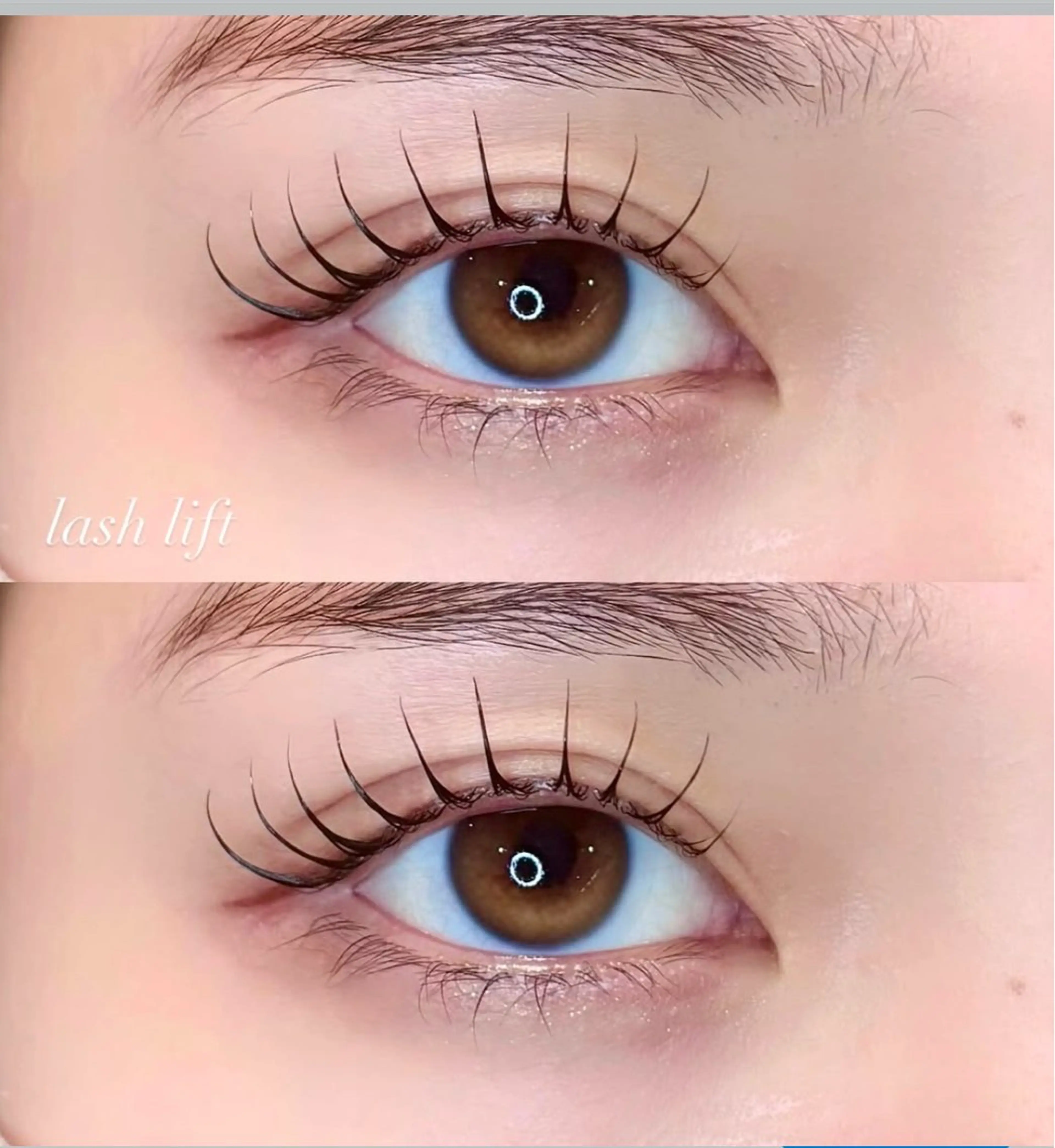 倧人æ°ãªãŒããŒã¡ã€ããŸã€æ¯ããŒã.ã©ãã·ã¥ãªãã.ããªãžã§ã³ã(äžã®ã¿)Â¥6,000âÂ¥4,400ã®åç