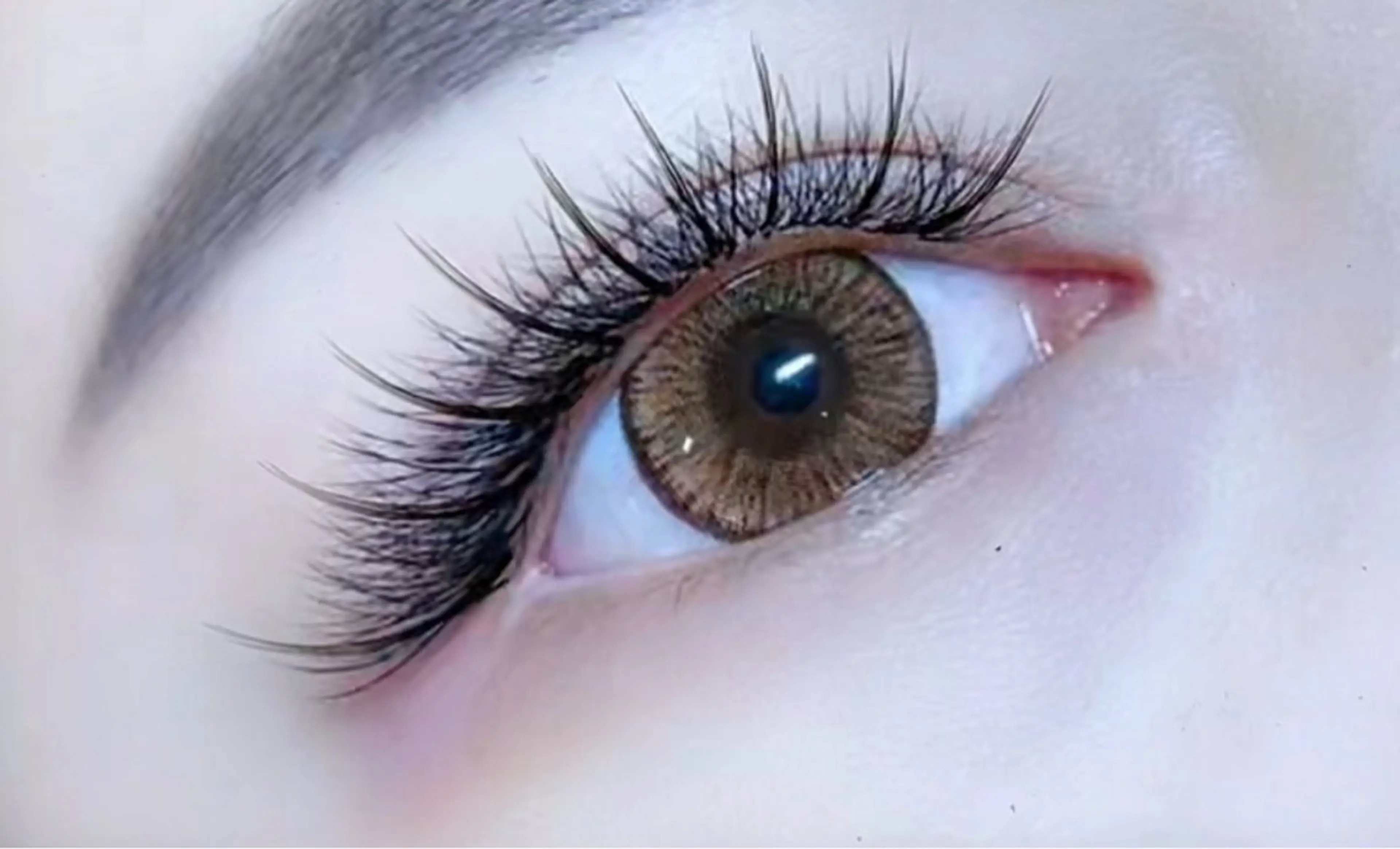 ワンホンマツエク（シングル+三葉草）の写真