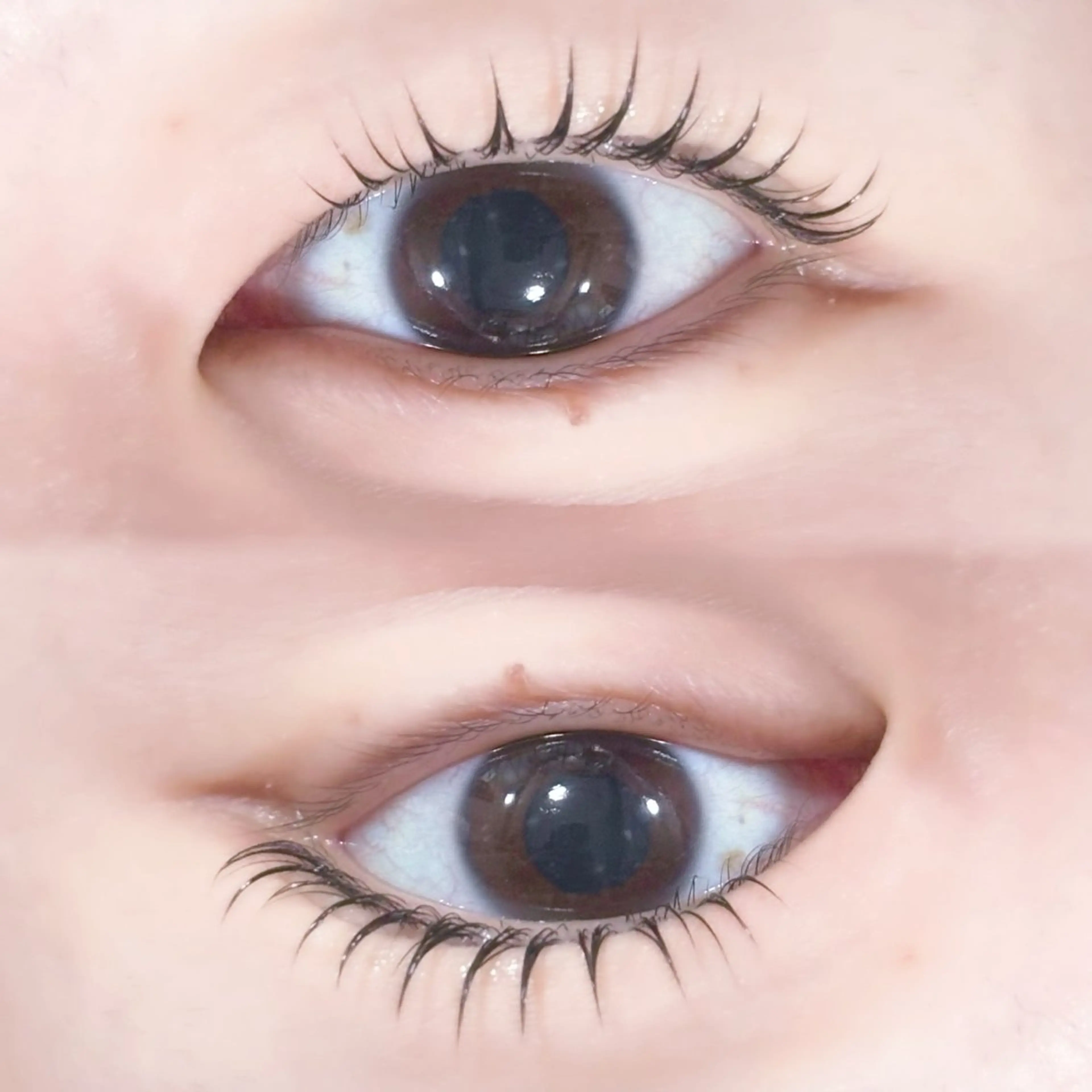 マツエク・マツパ マツパ マリーテレジア ogataの眉毛・アイブロウイメージ