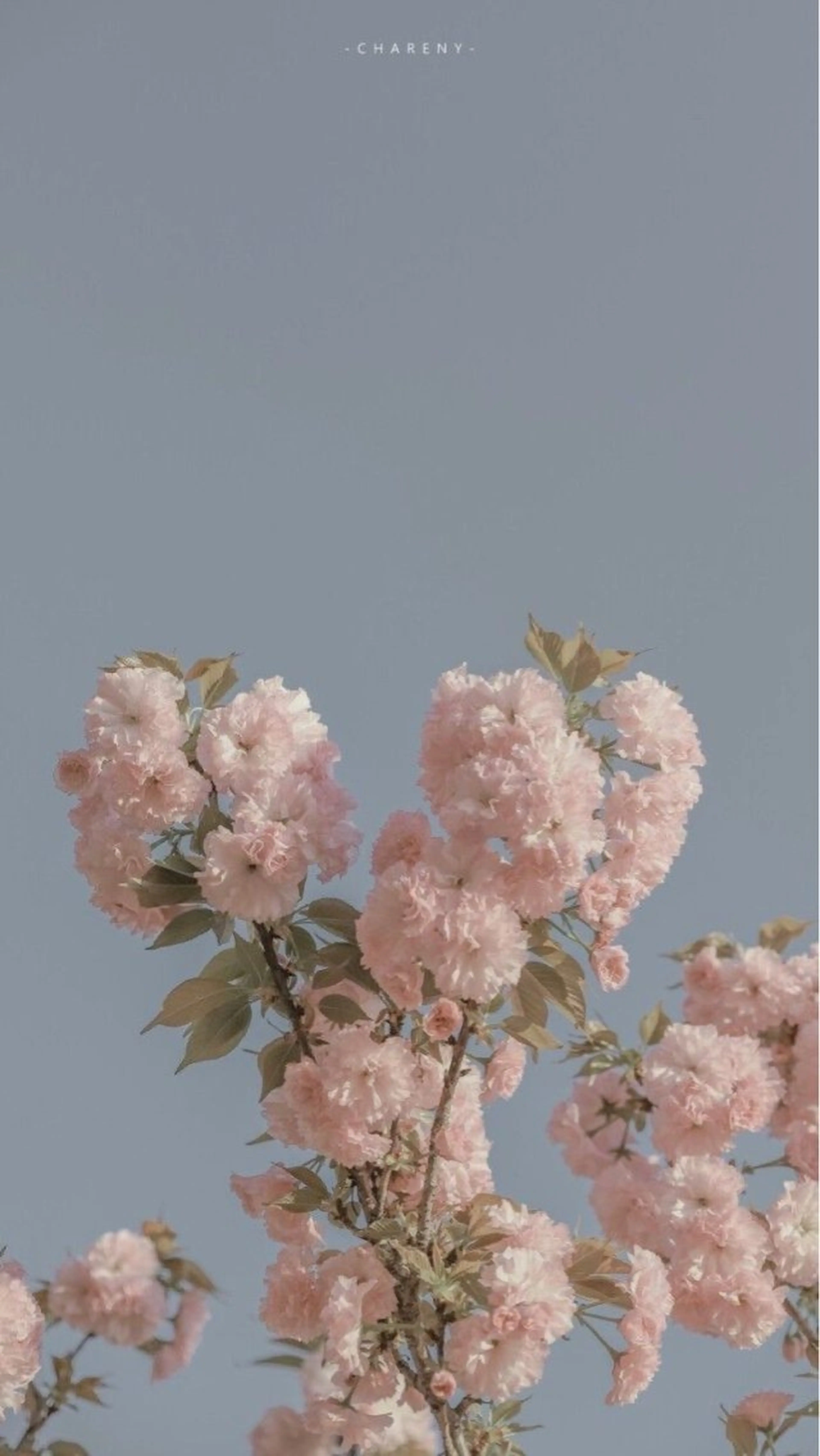 ロング カラー ヘアアレンジ カット ヘアカラー トリートメント トレンドlayer cut💐mihoのヘアスタイル