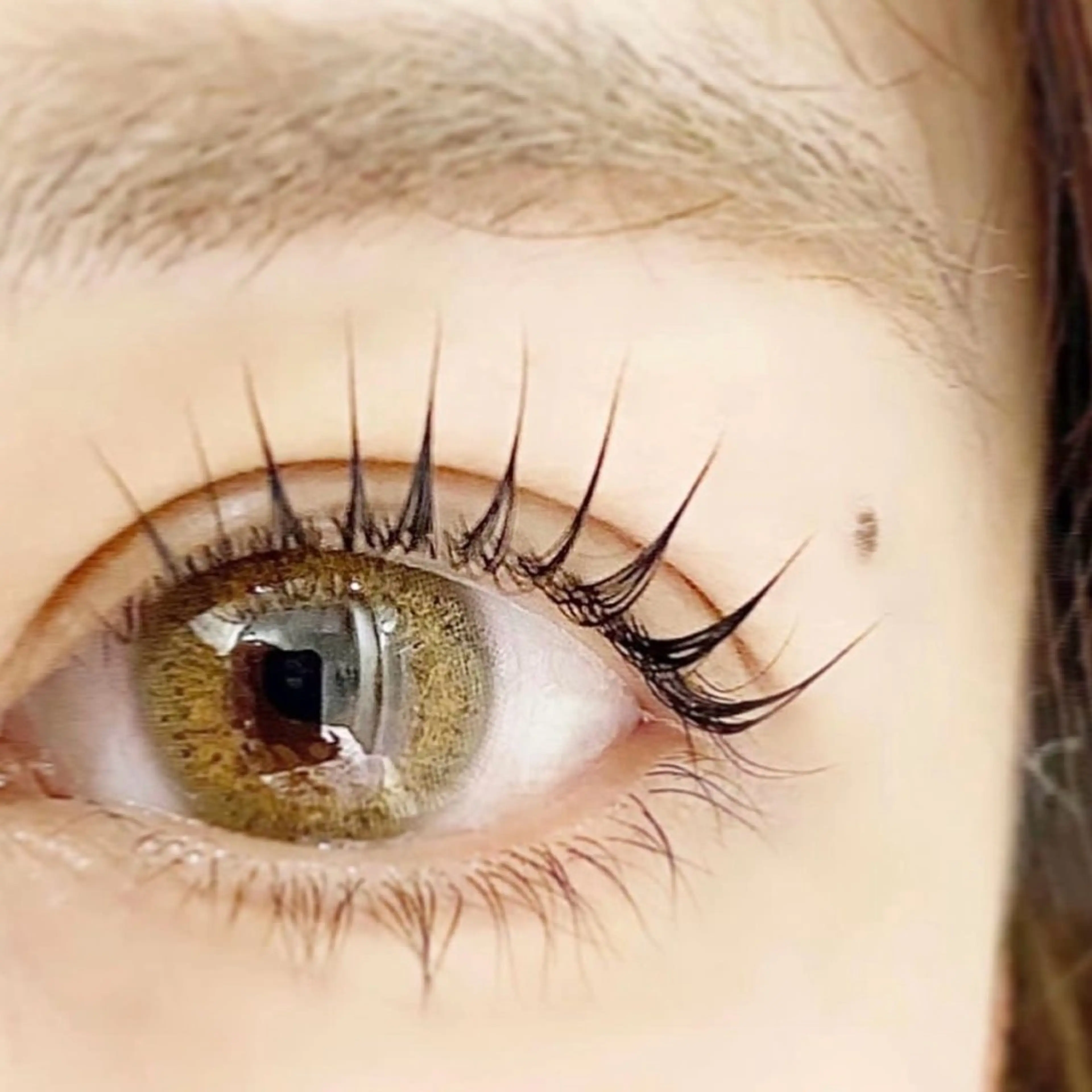 3月31日限定価格！パリジェンヌ・まつげパーマ / ラッシュリフトの写真