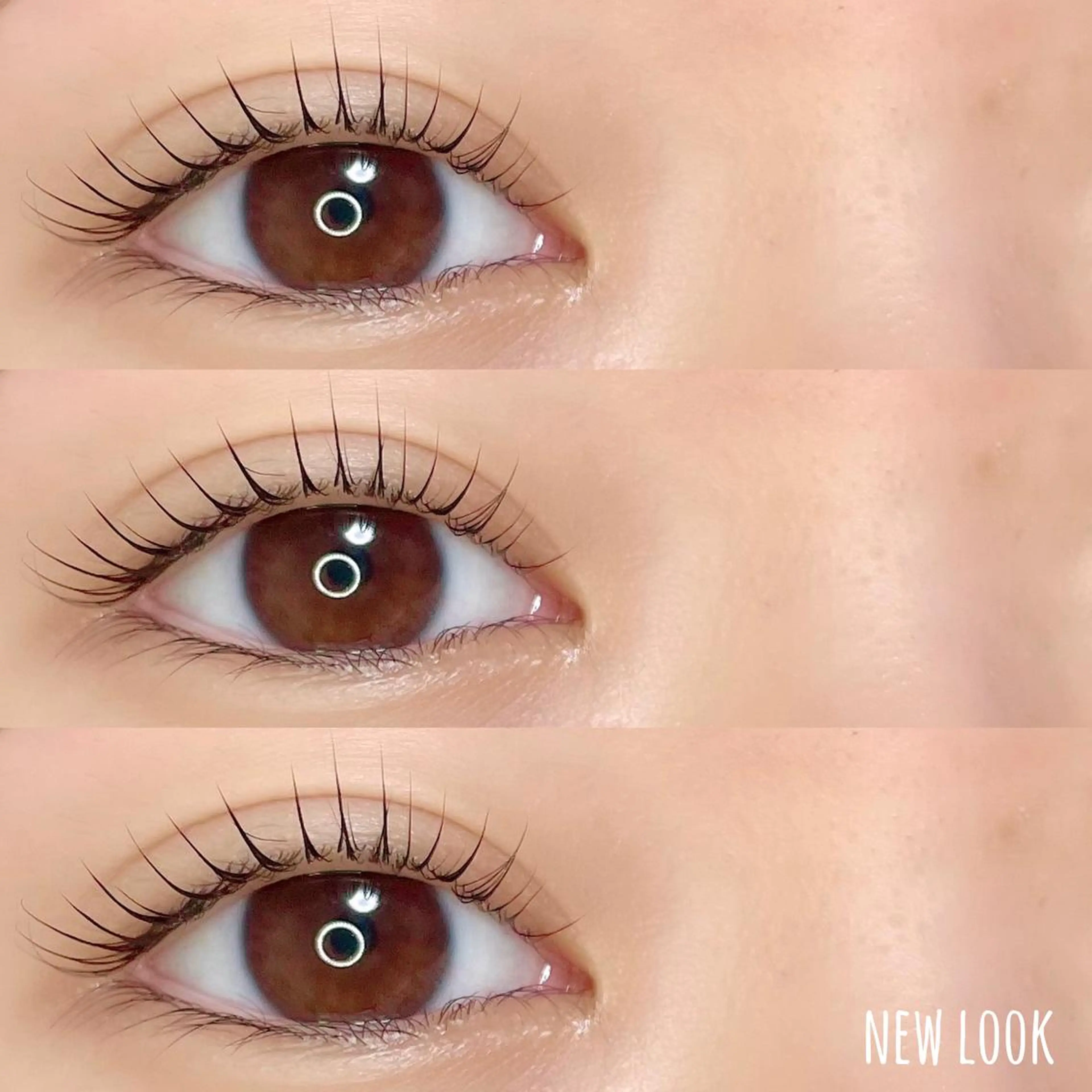 アイシャンプー付 🌿 まつげパーマの写真