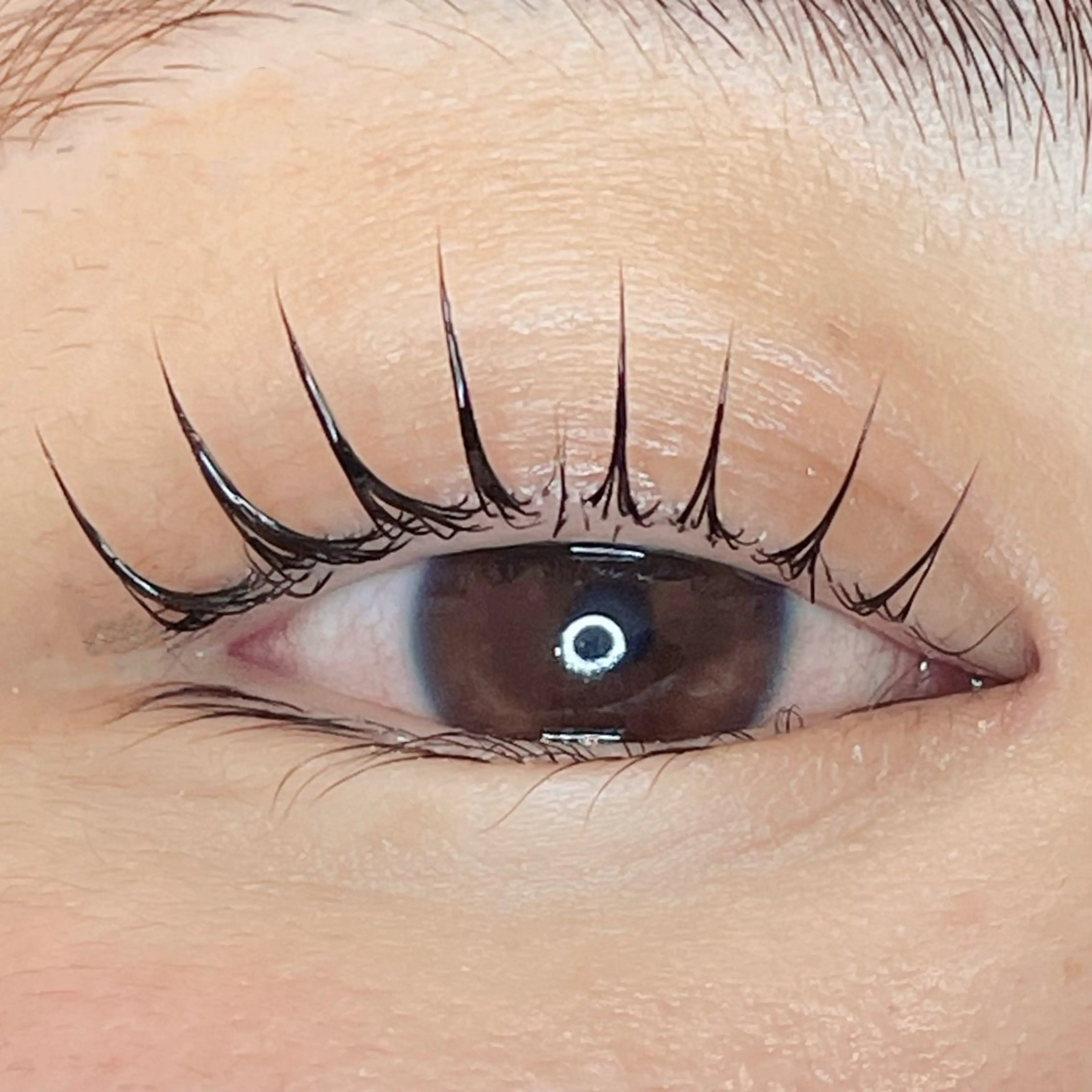 マツエク・マツパ EYELA亀田店 田高のマツエク・マツパデザイン