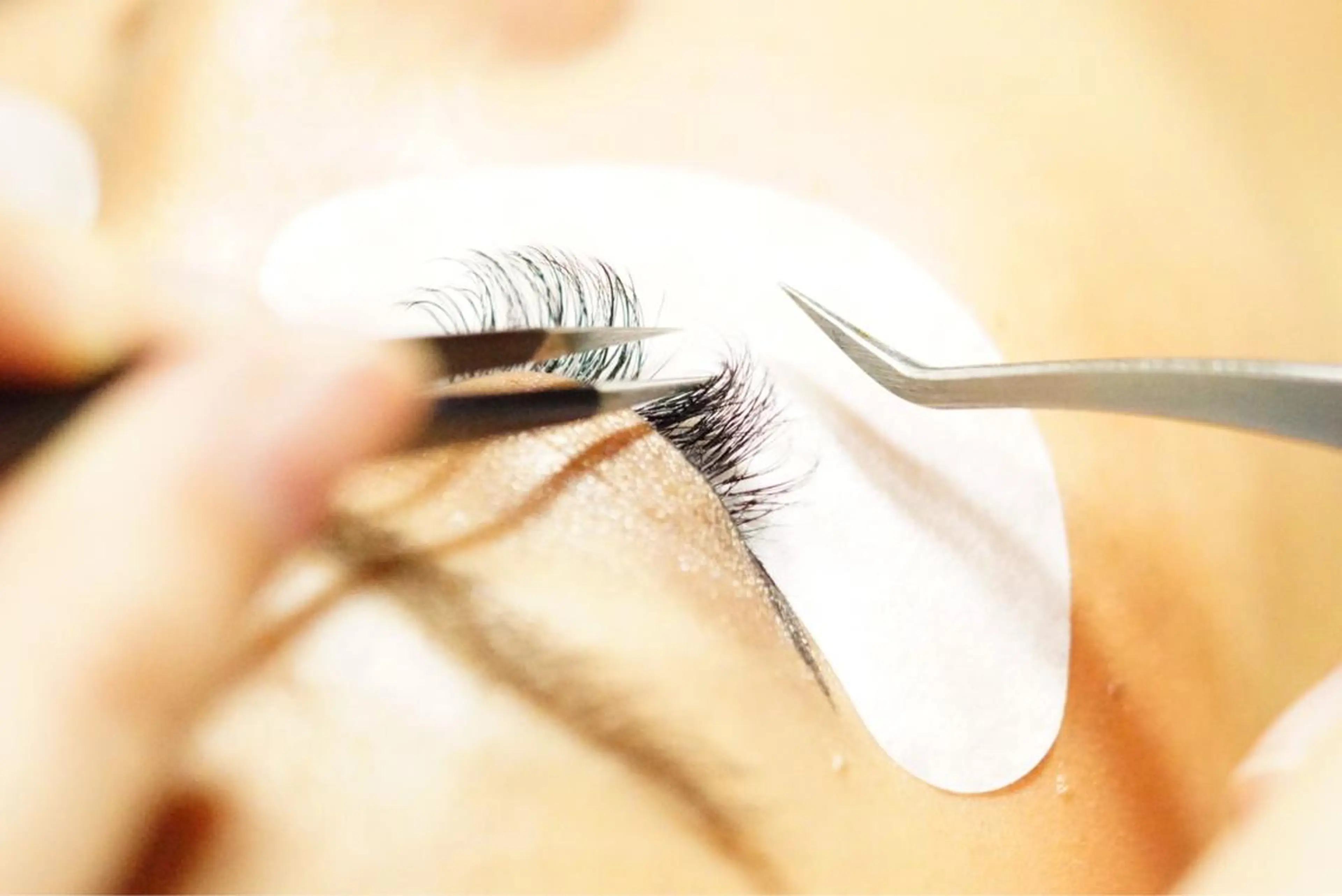 最高級セーブル 100本の写真