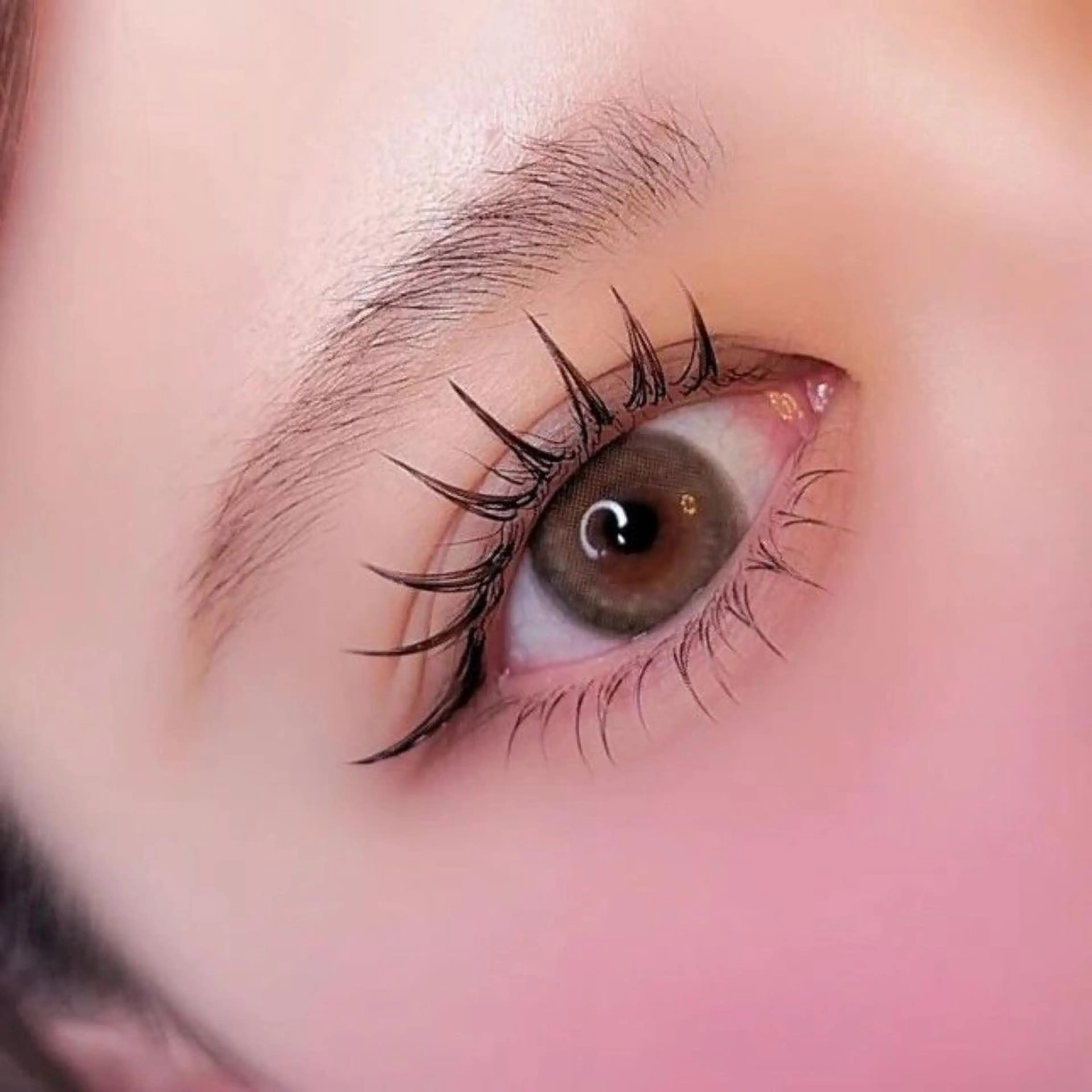 フラットラッシュ80本の写真